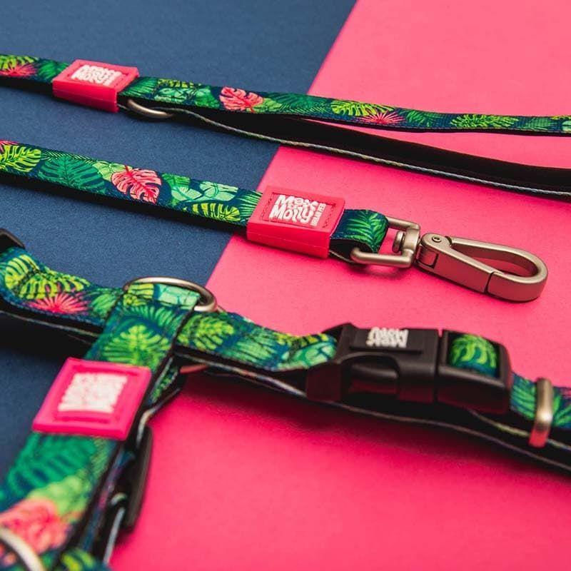 Correa Max and Molly Tropical 1.2mts-2