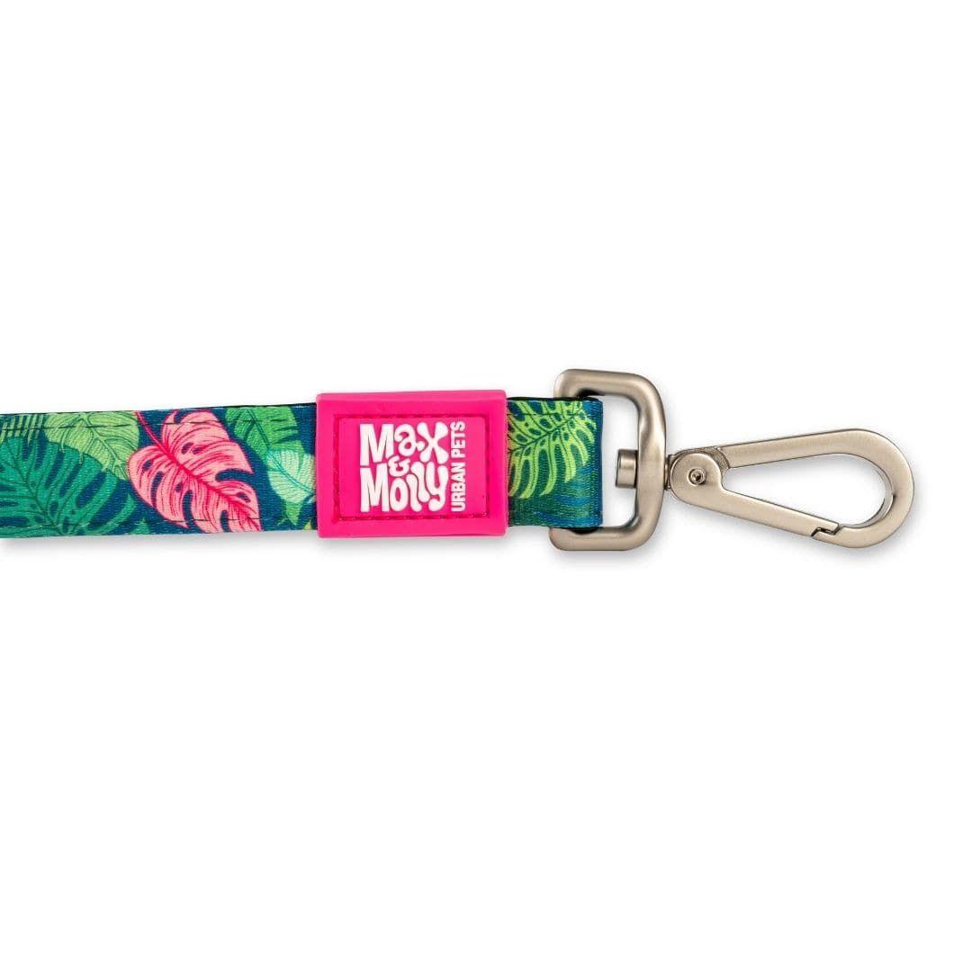 Correa Max and Molly Tropical 1.2mts-3