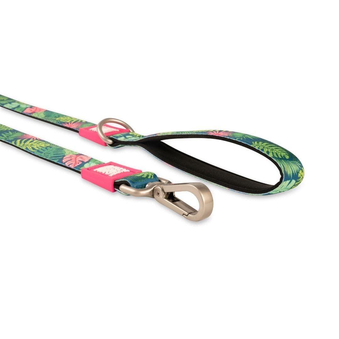 Correa Max and Molly Tropical 1.2mts-4
