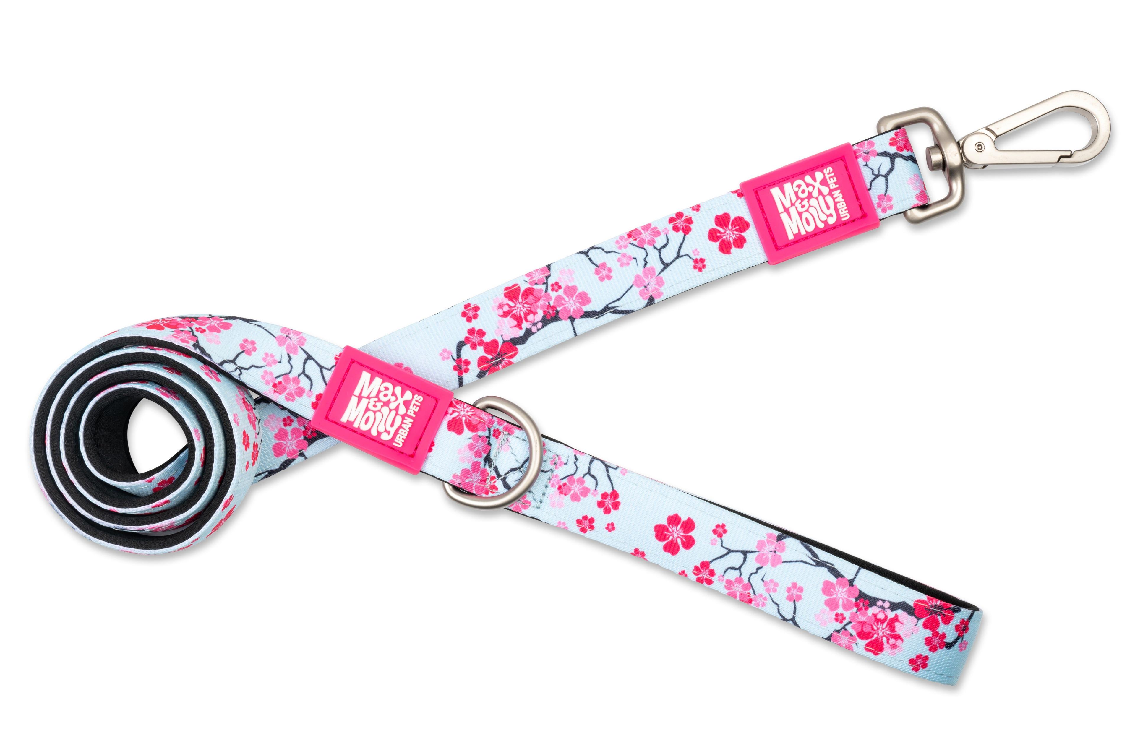 Correa Max and Molly Cherry Bloom 1.2mts-0