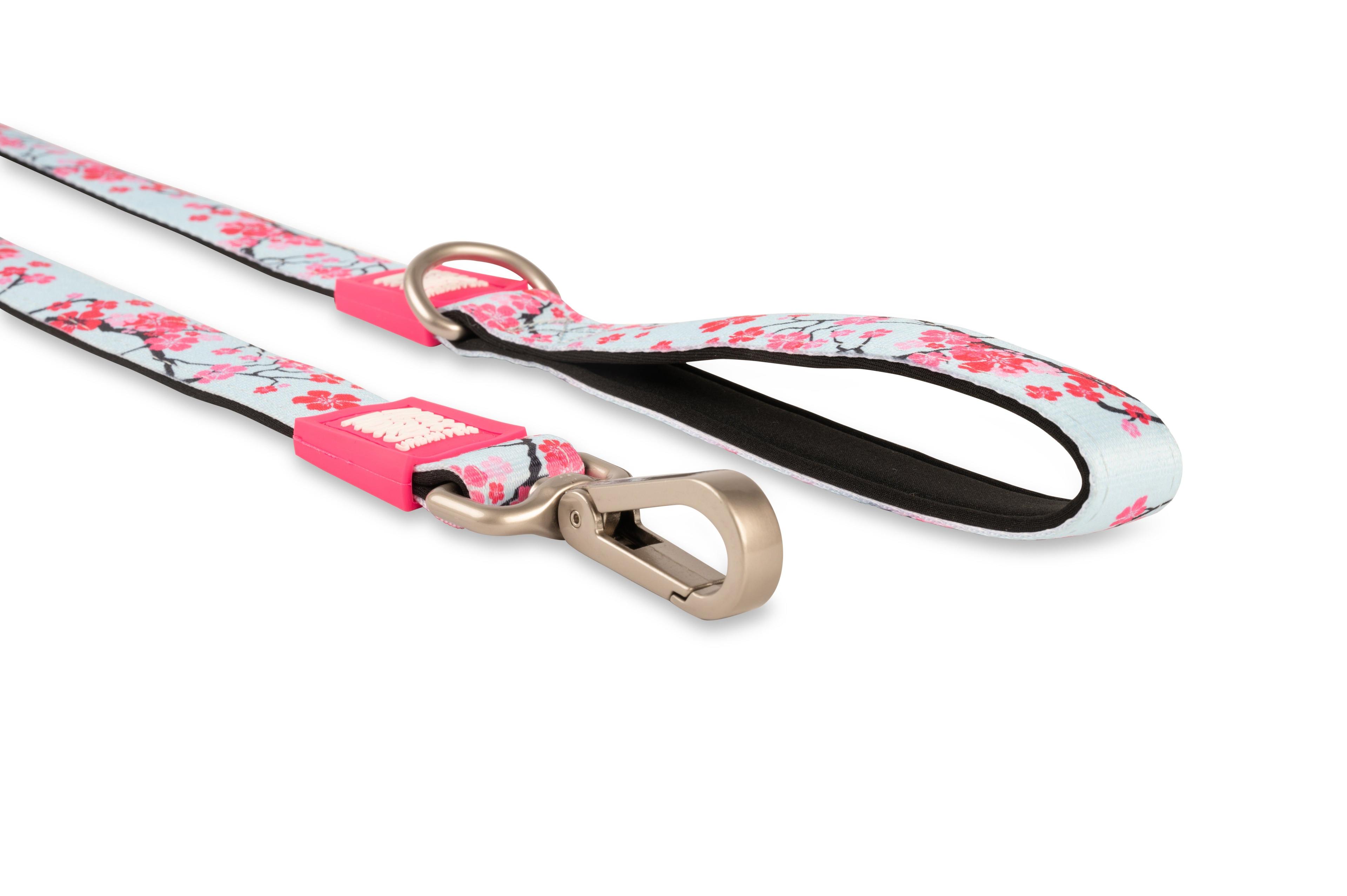 Correa Max and Molly Cherry Bloom 1.2mts-1
