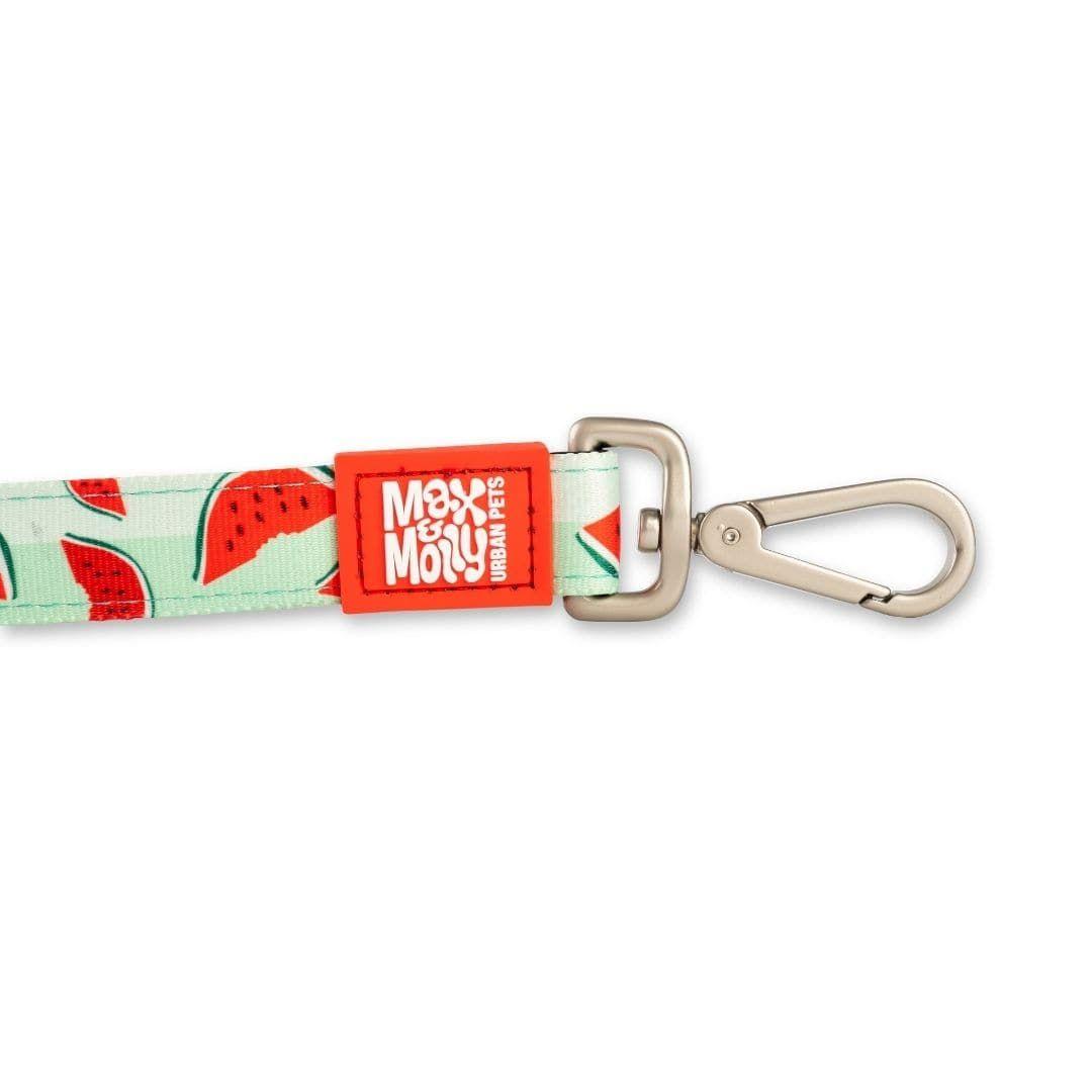 Correa Max and Molly Watermelon 1.2mts-2