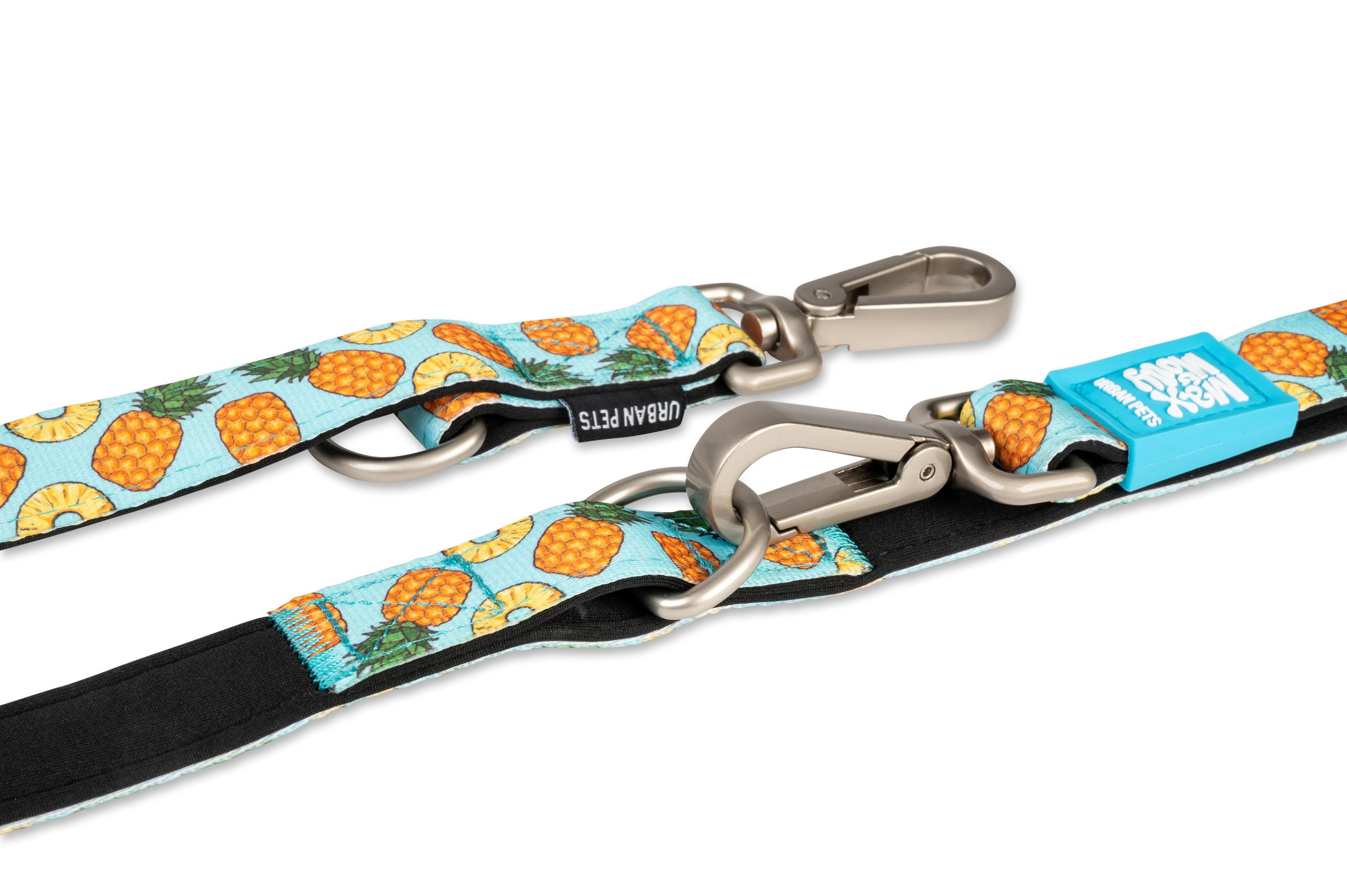 Correa Multifuncional Max and Molly Sweet Pineapple 2mts-2