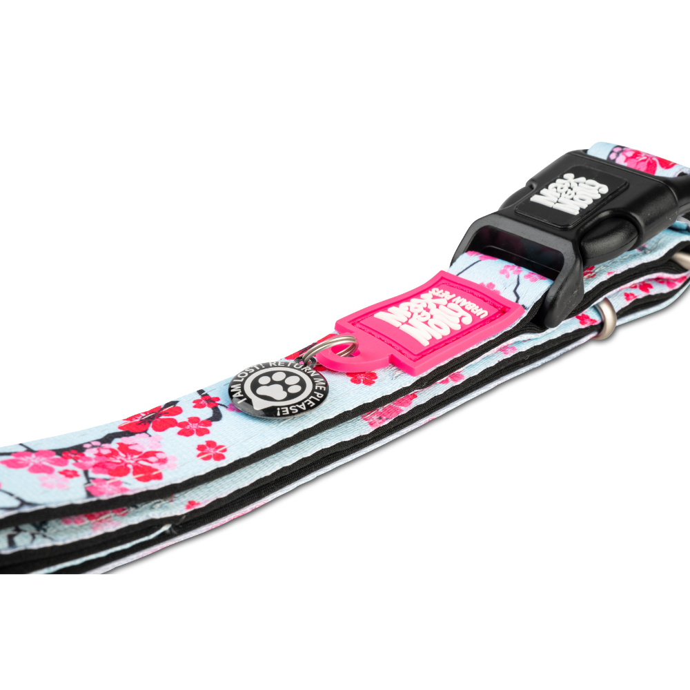 Collar Perro Max and Molly con Smart ID Cherry Bloom-3