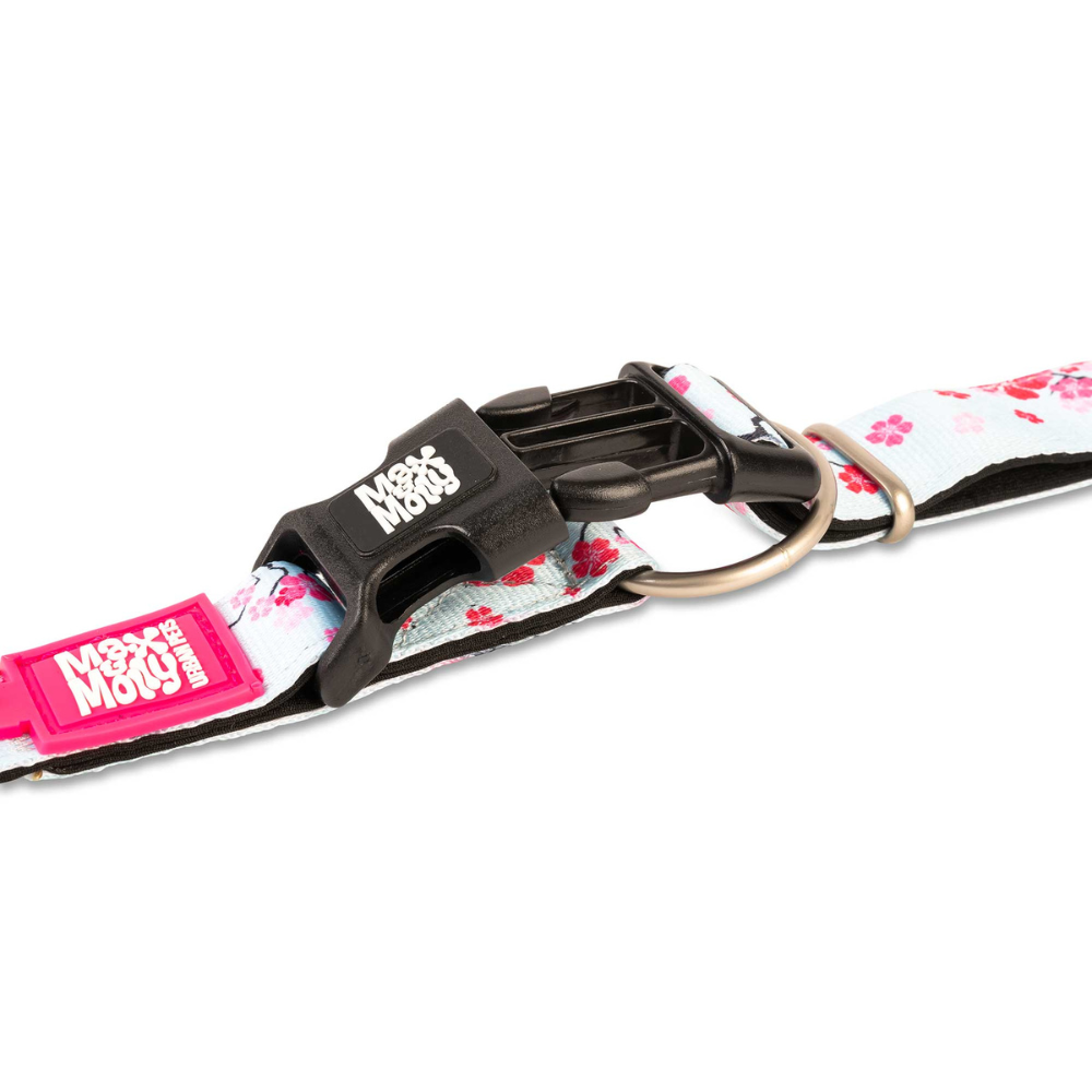 Collar Perro Max and Molly con Smart ID Cherry Bloom-4