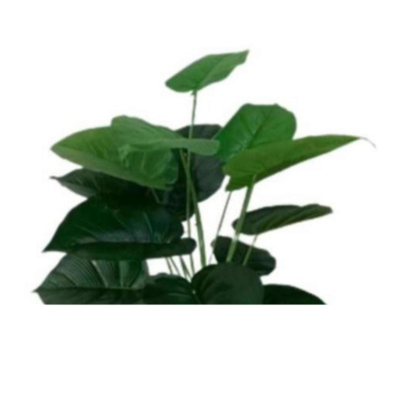 Planta Artificial Decorativa Interior 75 cm de Alto-2