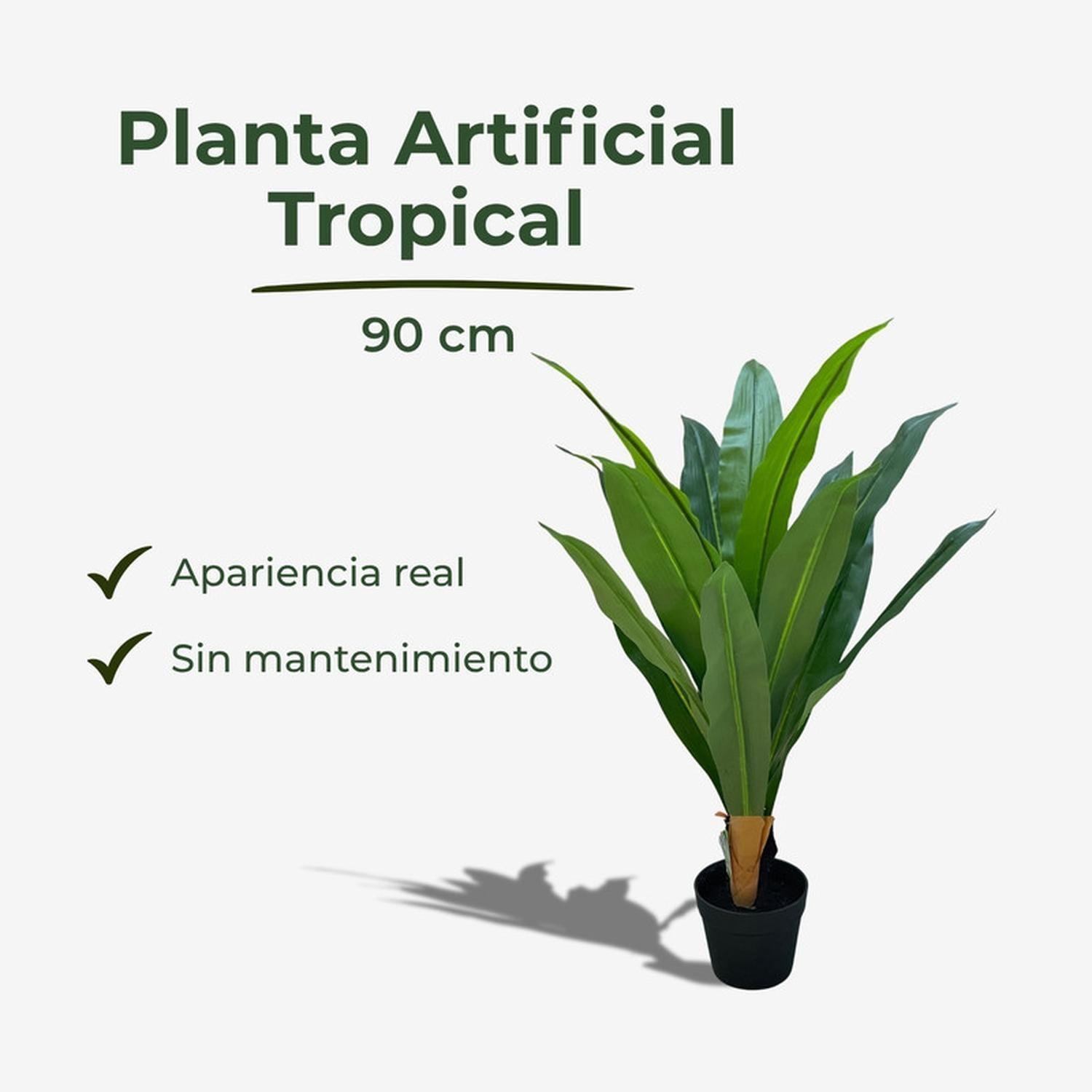 Planta Artificial Dracaena Hojas Largas 90 cm-2