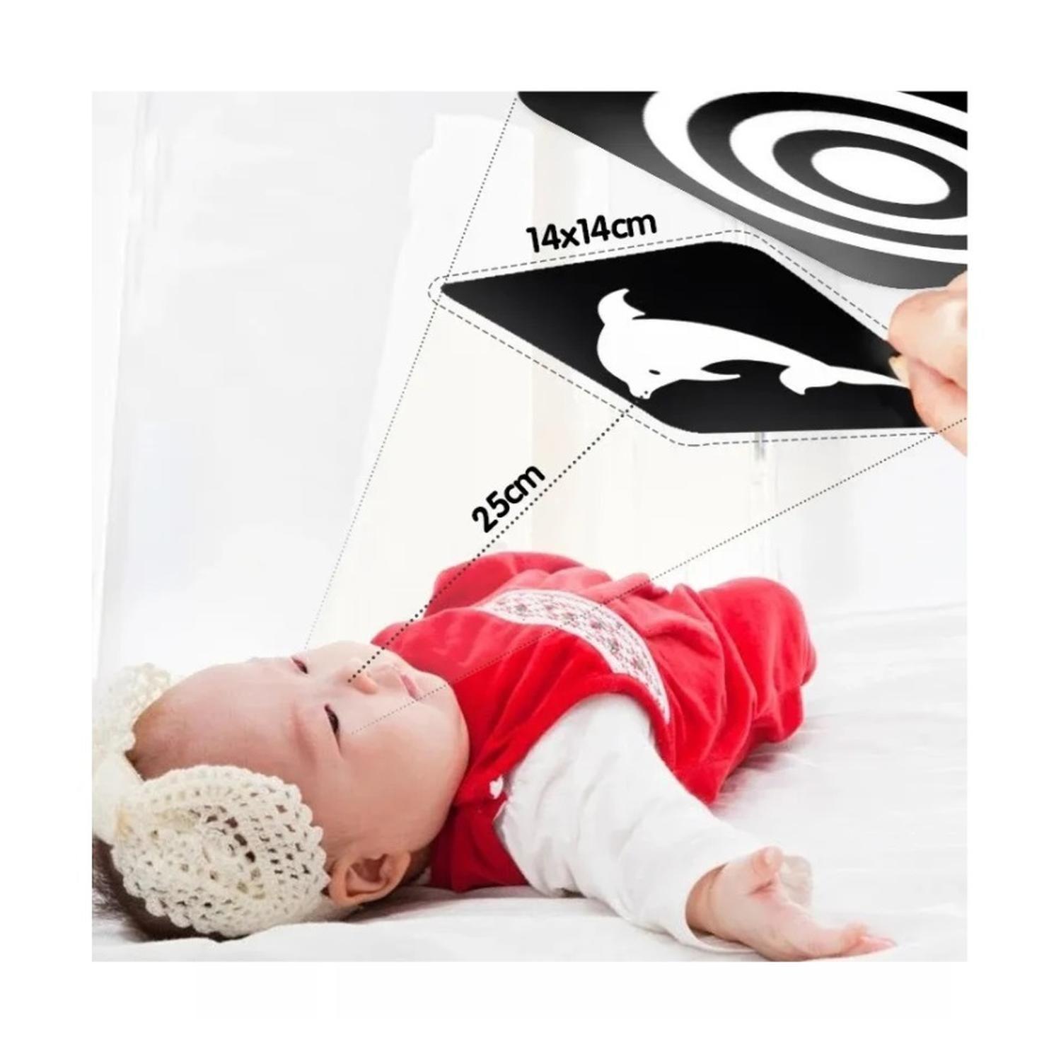 Tarjeta Estimulacion Visual Bebe Etapa 4 Alto Contraste-1