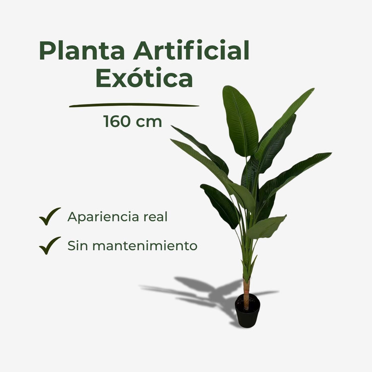 Planta Artificial Ave Del Paraíso Strelitzia 160 Cm-2