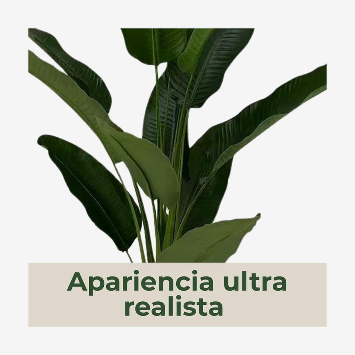 Planta Artificial Ave Del Paraíso Strelitzia 160 Cm-4