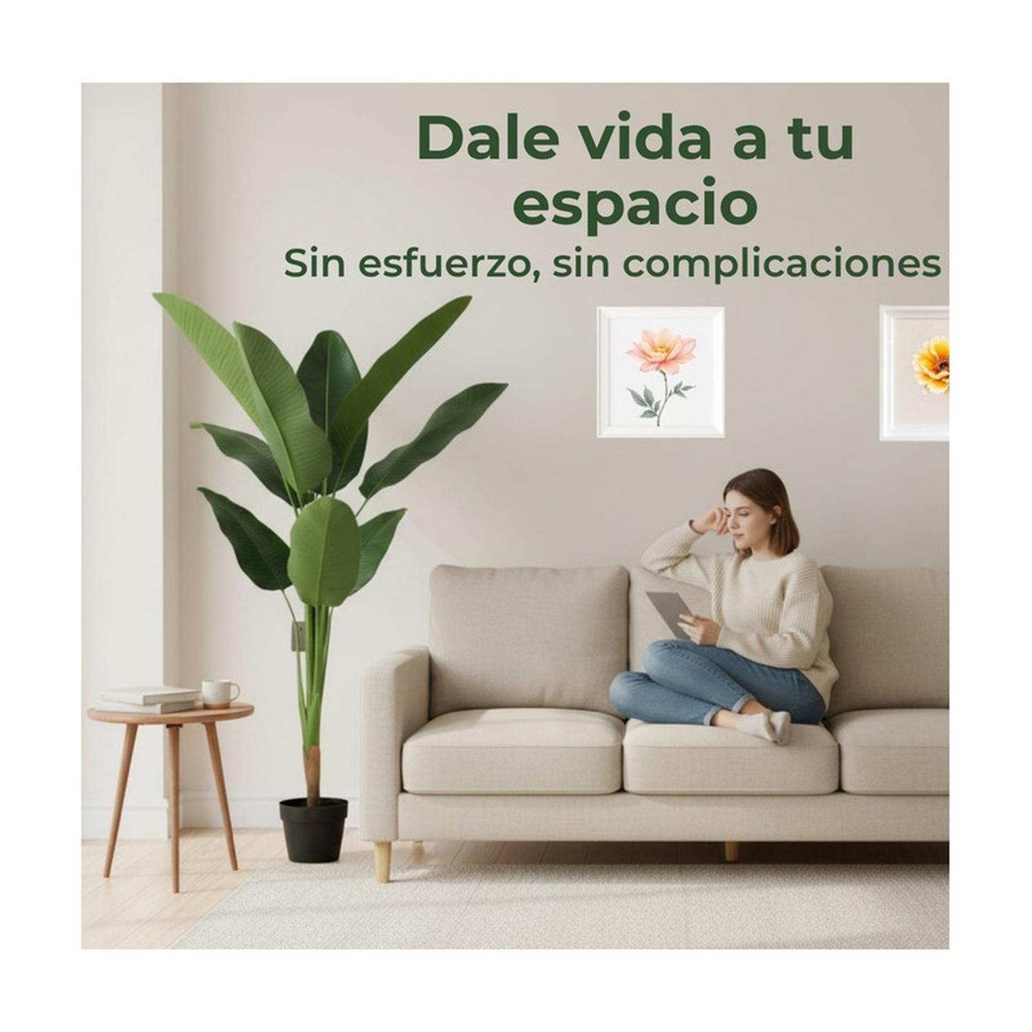 Planta Artificial Ave Del Paraíso Strelitzia 160 Cm-5