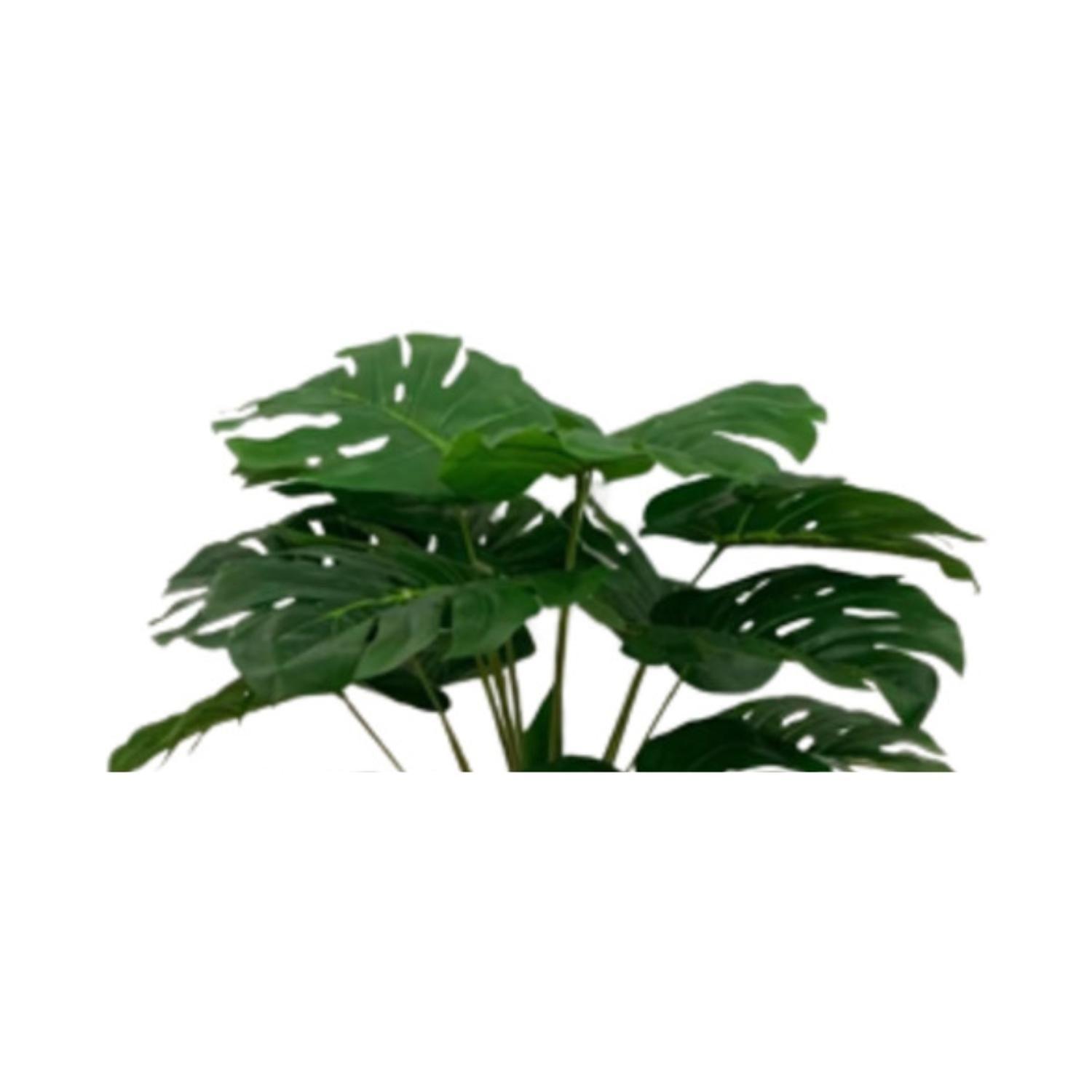 Planta Artificial Tipo Monstera. Altura: 85Cm-2