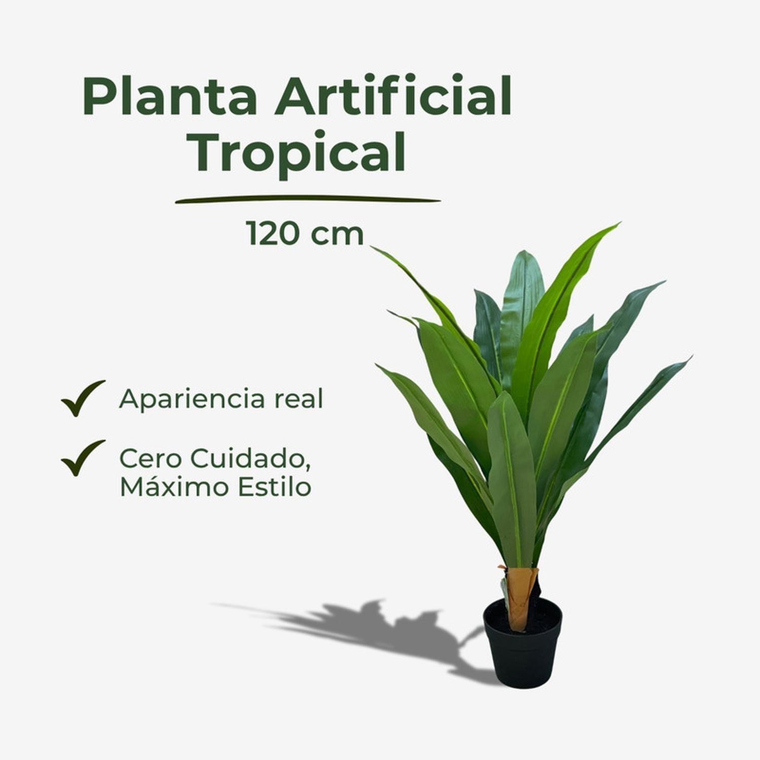 Planta Artificial Dracaena Hojas Largas 120 cm-2