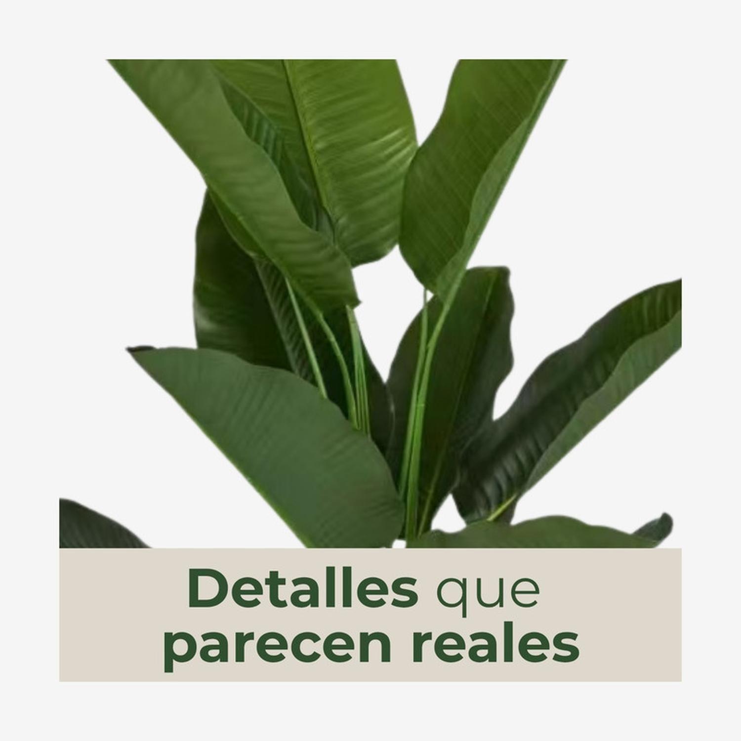 Planta Artificial Ave Del Paraíso Strelitzia 130 Cm-4
