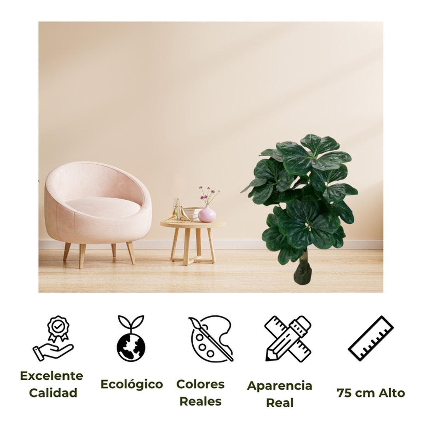 Planta Artificial Tipo Fiddle Tree. Altura: 75Cm-2