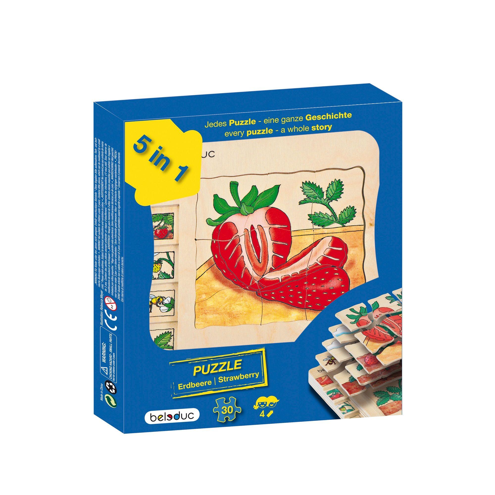 Puzzle En Capas Desarrollo De La Frutilla-2