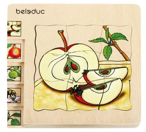 Puzzle En Capas Desarrollo De La Manzana-0