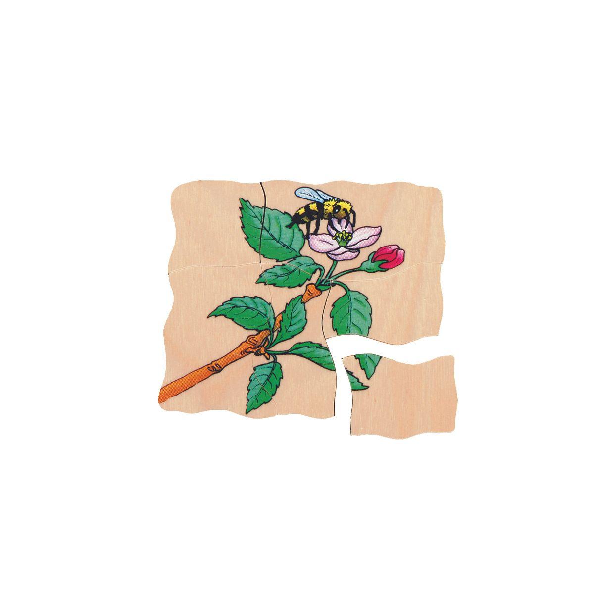 Puzzle En Capas Desarrollo De La Manzana-3