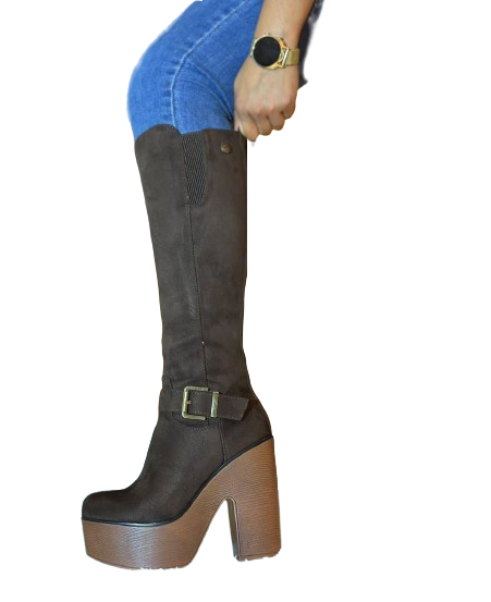 Botas Mujer en Gamuza Taco Alto Con Plataforma M457-0