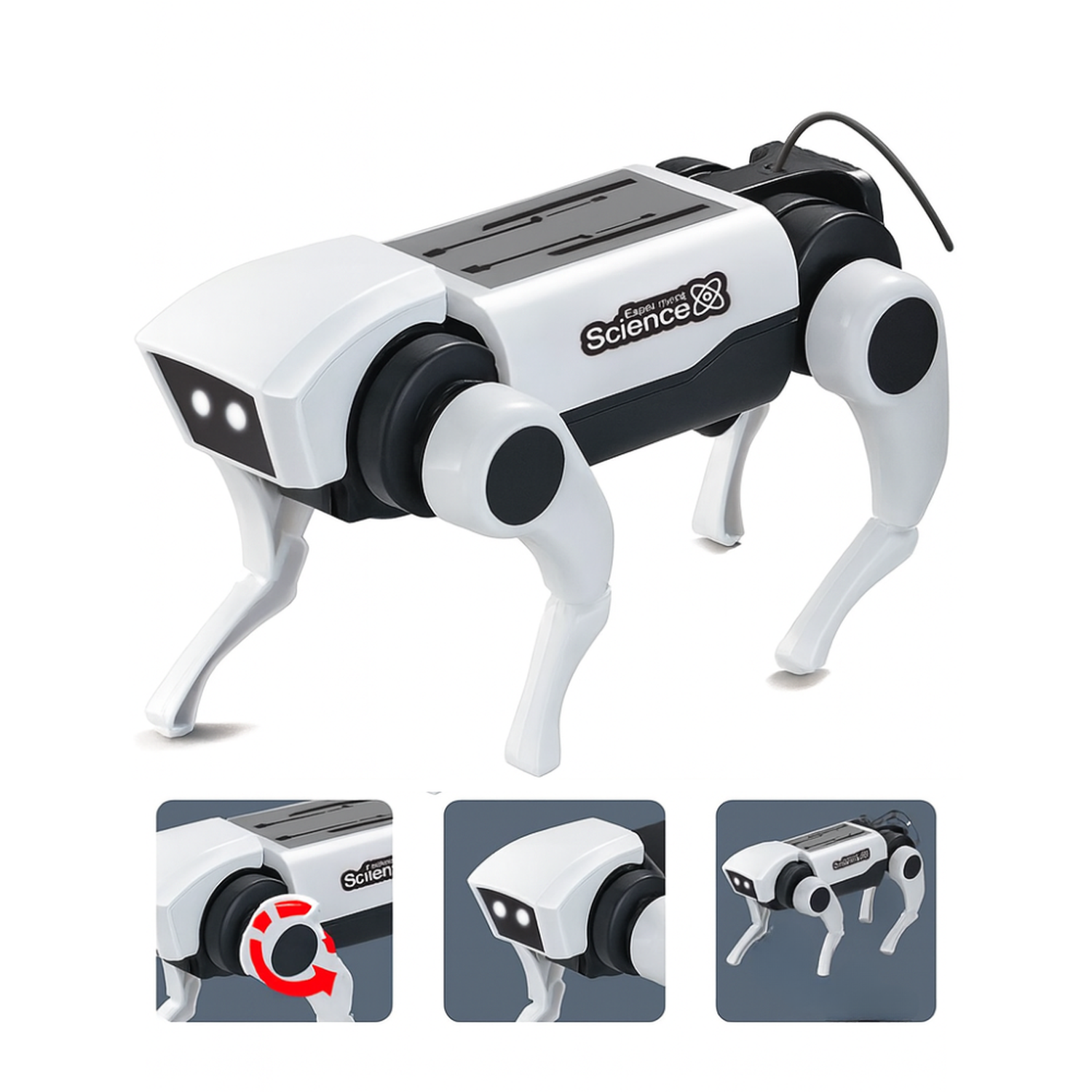 Kit 2 Arma Tu Primer Perro Robot RC a Control Remoto Juguete-8