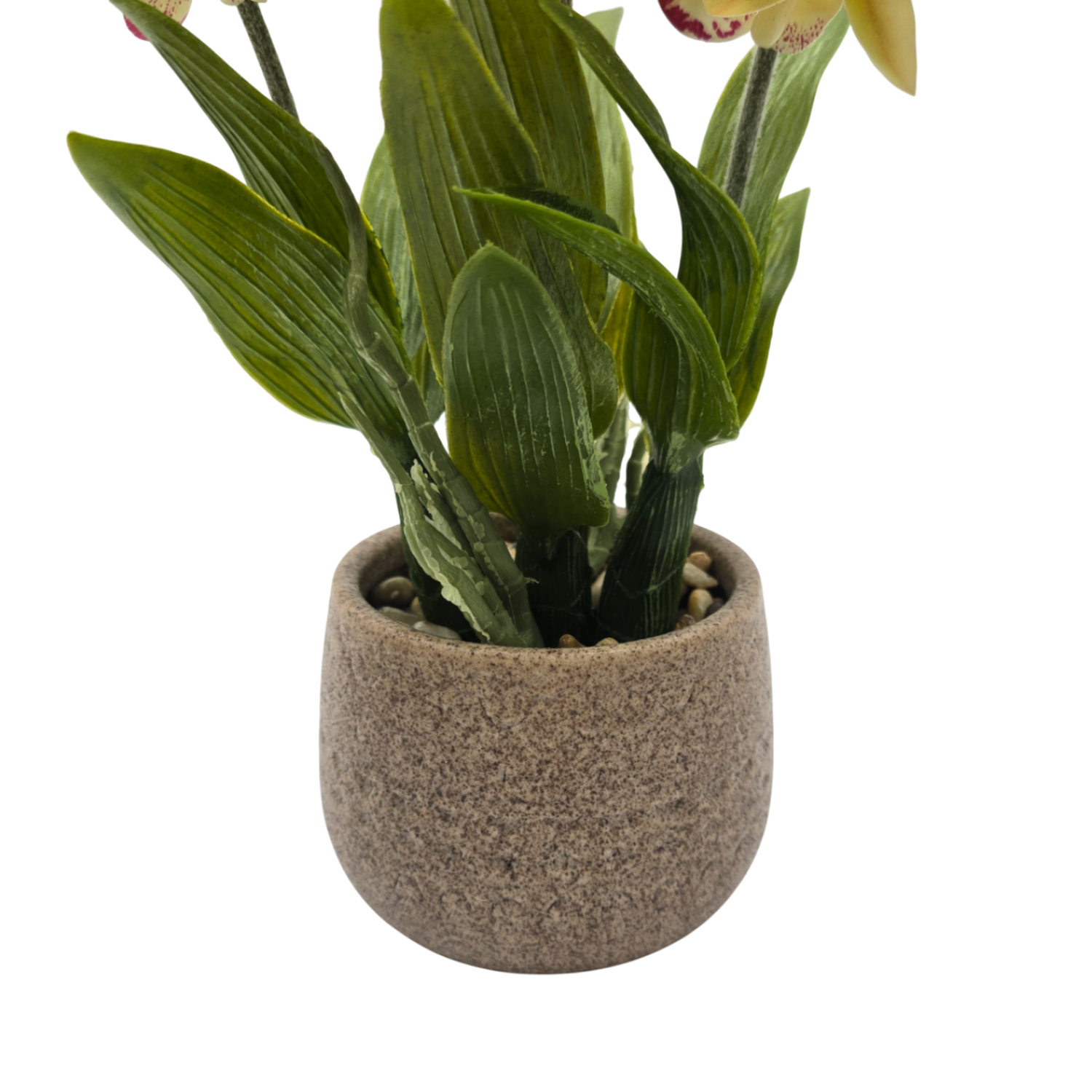 Planta Artificial Orquidea Amarilla Decorativa Macetero Loza-2