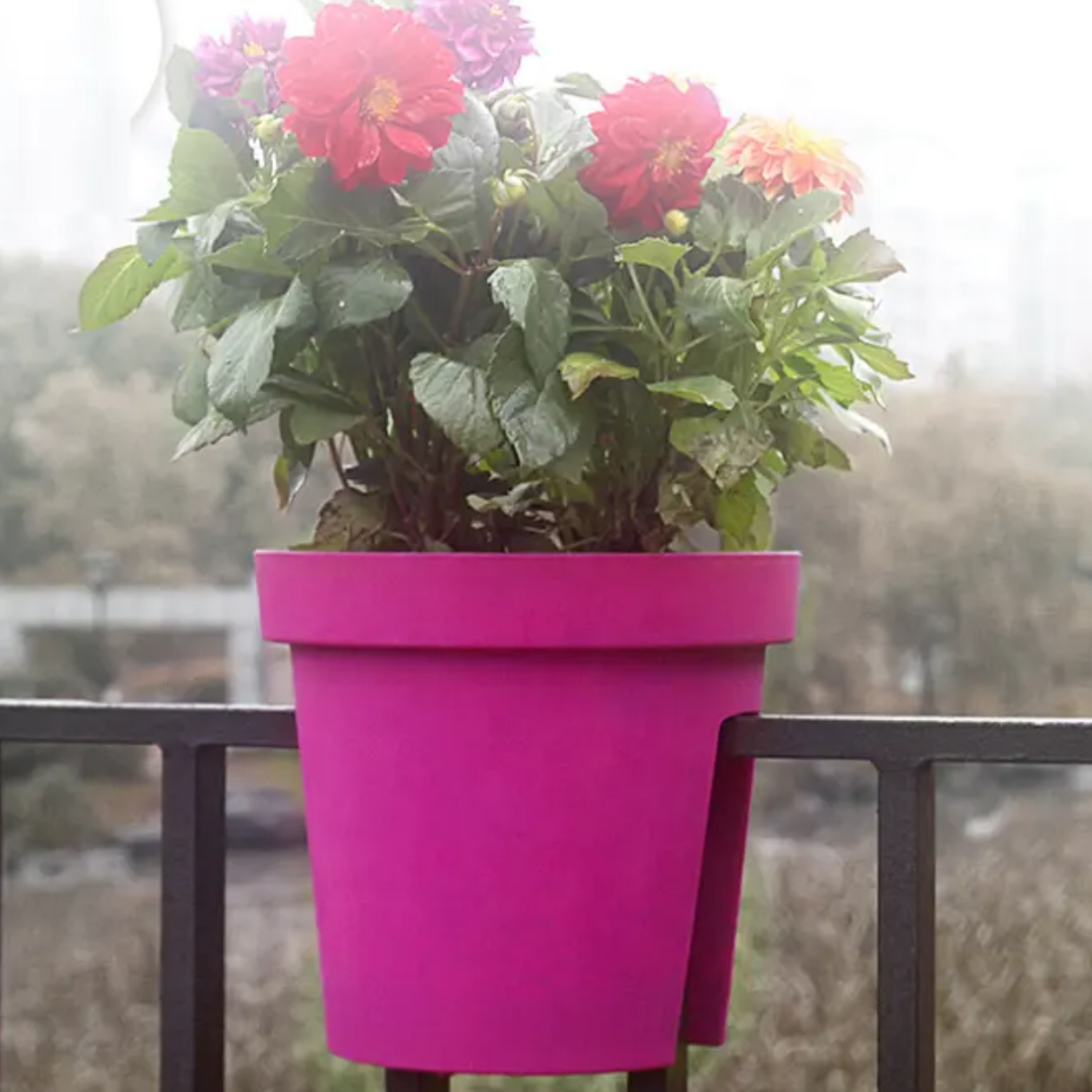 Macetero Colgante Para Balcon Terraza Plastico Maceta Jardin-5