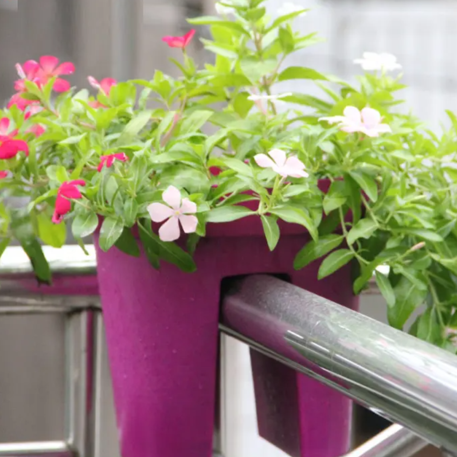 Macetero Colgante Para Balcon Terraza Plastico Maceta Jardin-7