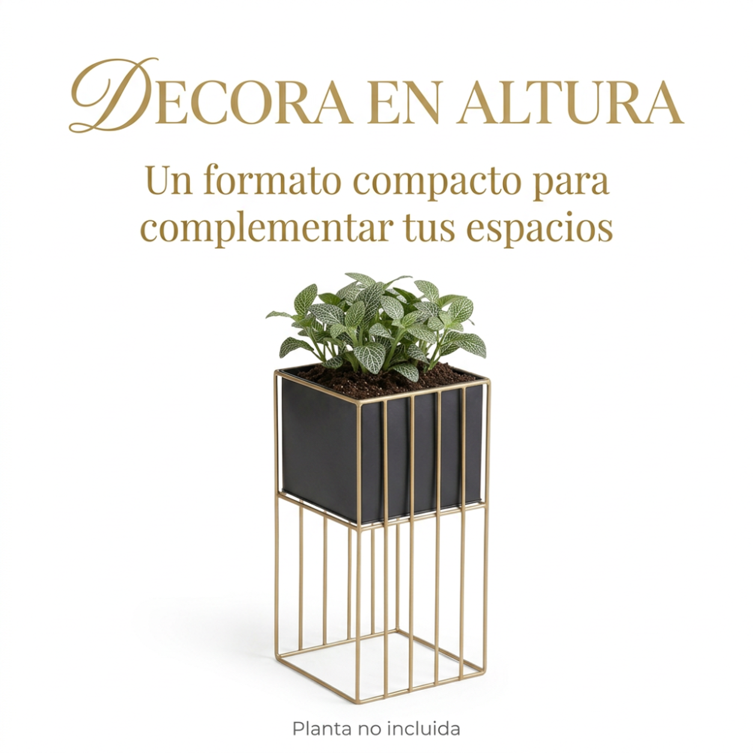 Porta Macetero Pedestal Maceta Plantas Negro Dorado Mediano-3