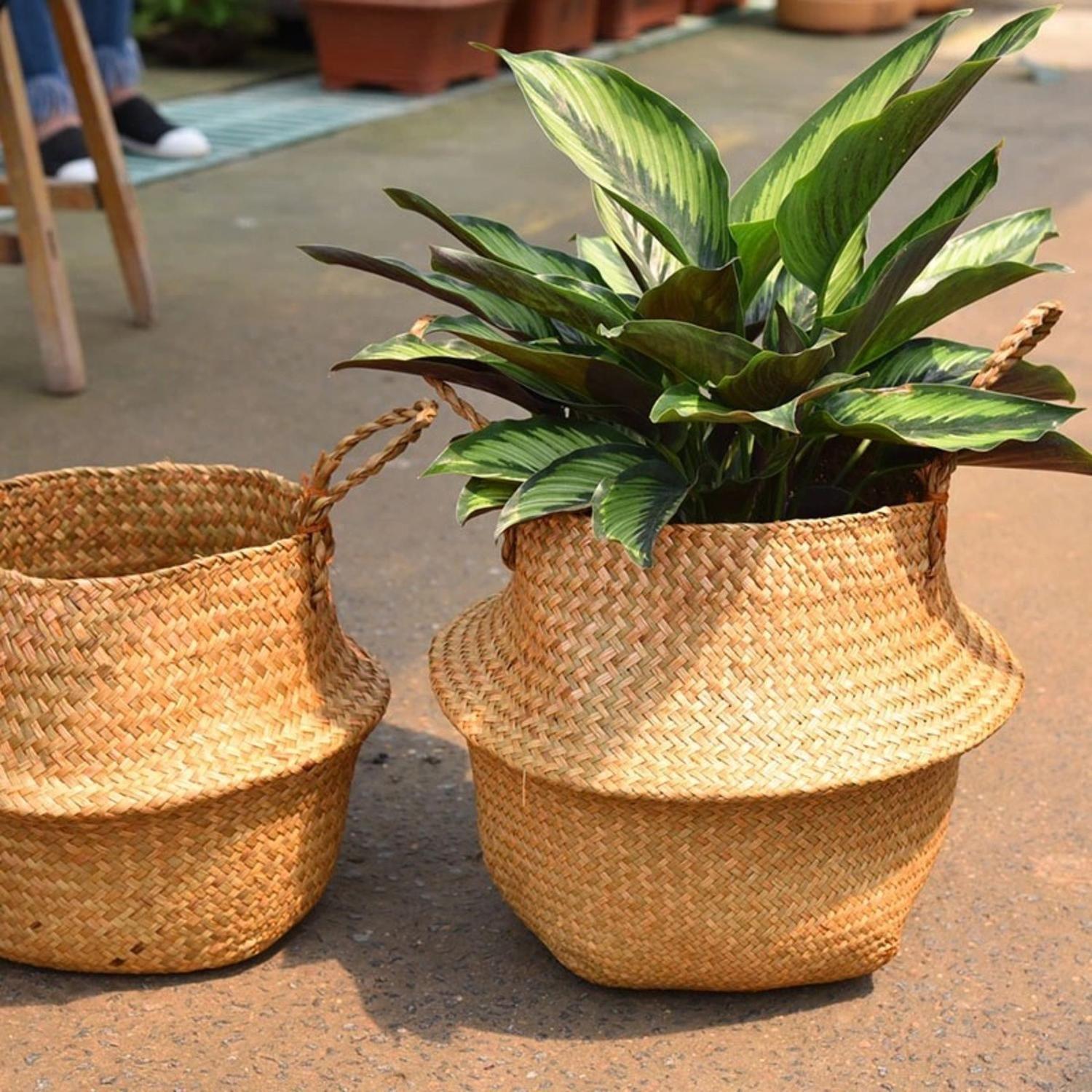 Macetero Cesto Maceta De Mimbre Tejida Plegable Con Asas-6