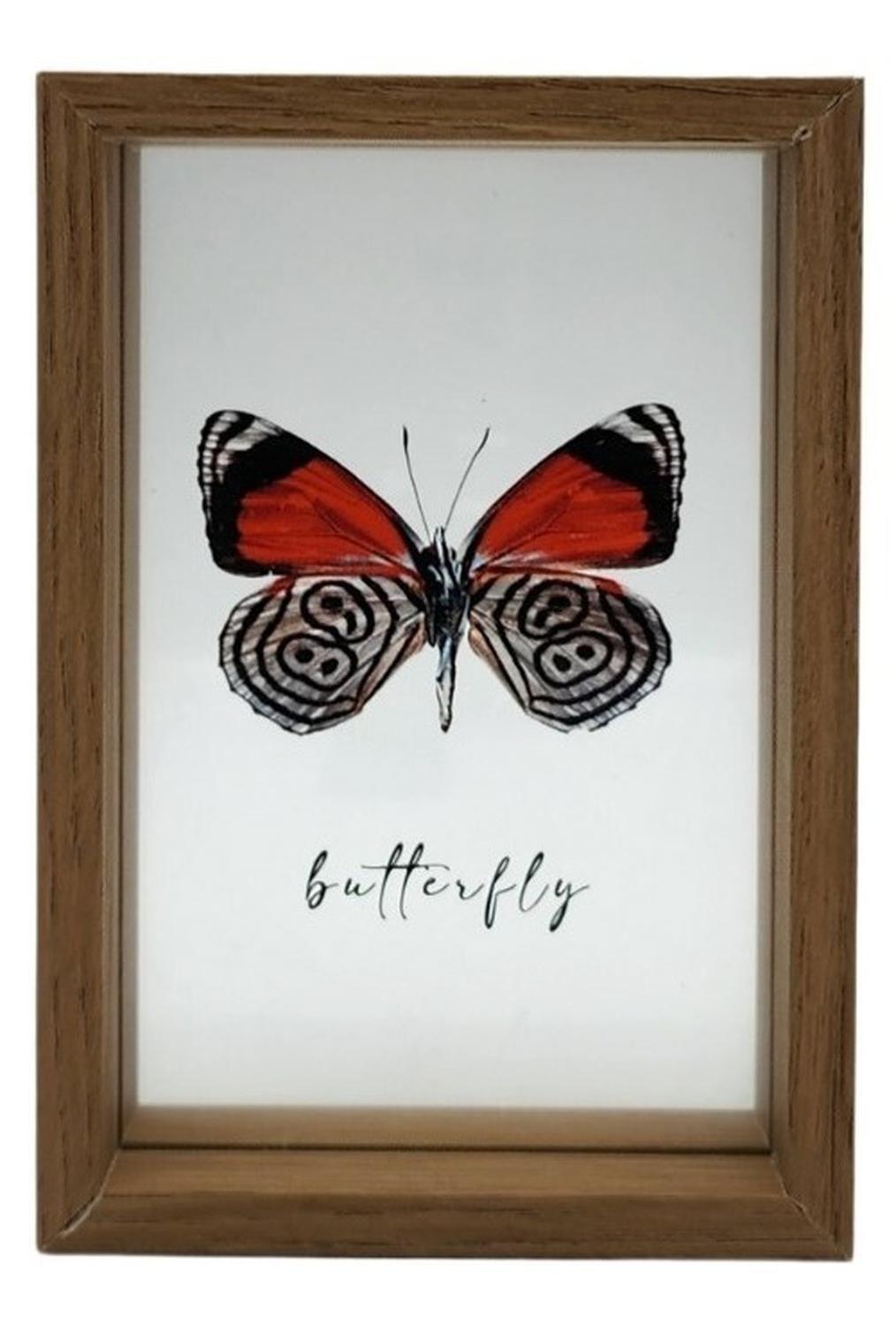 Cuadro De Vidrio Marco Madera Diseño Mariposa Decorativo-0