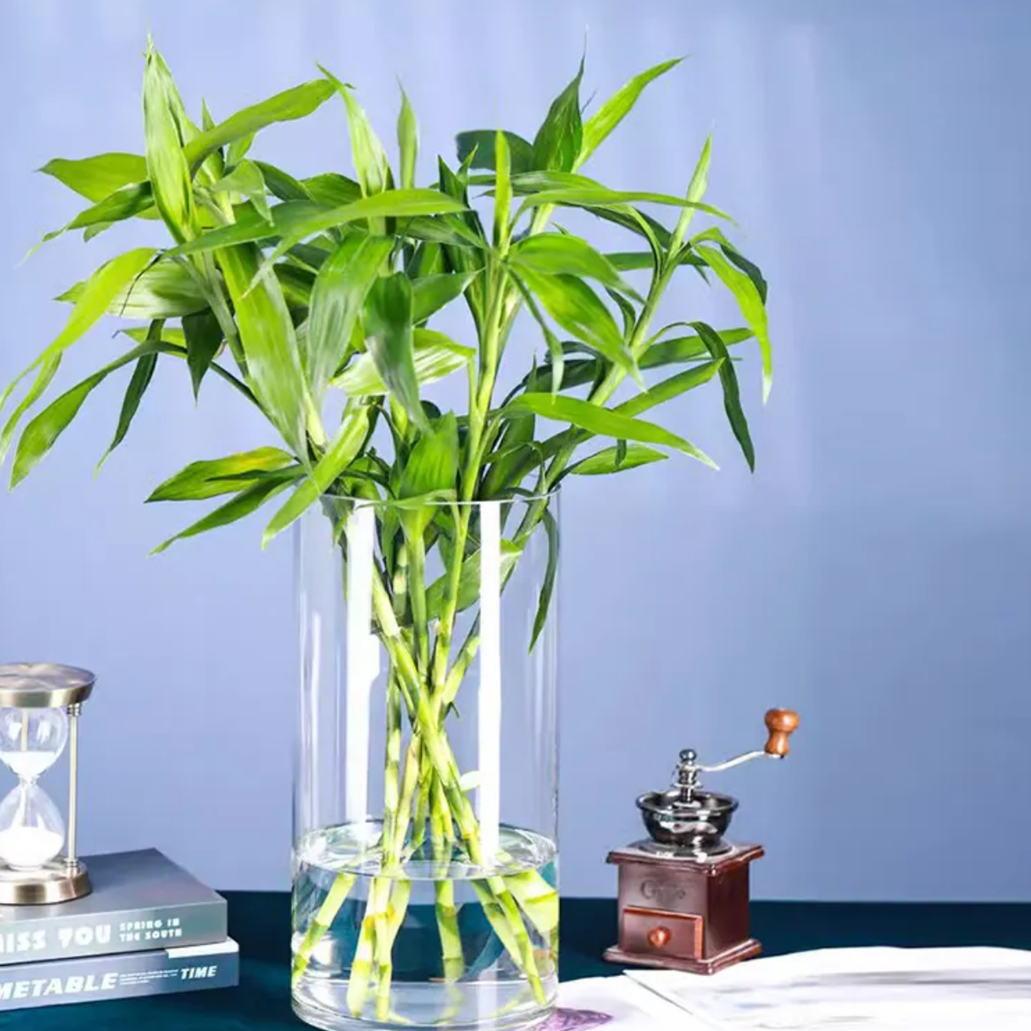 Florero De Vidrio Alto Cilindrico Transparente Jarron-5