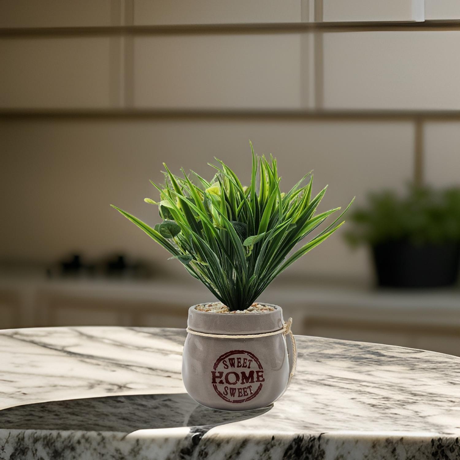 Planta Artificial Plantita Macetero Ceramica Sweet Home-4