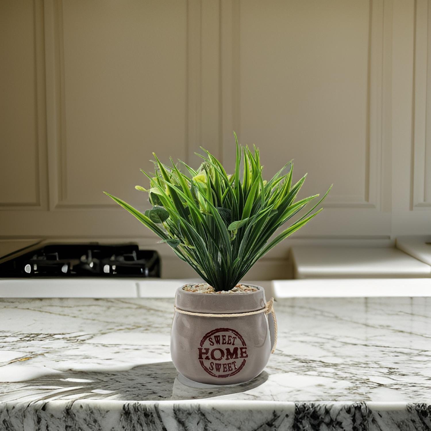 Planta Artificial Plantita Macetero Ceramica Sweet Home-5