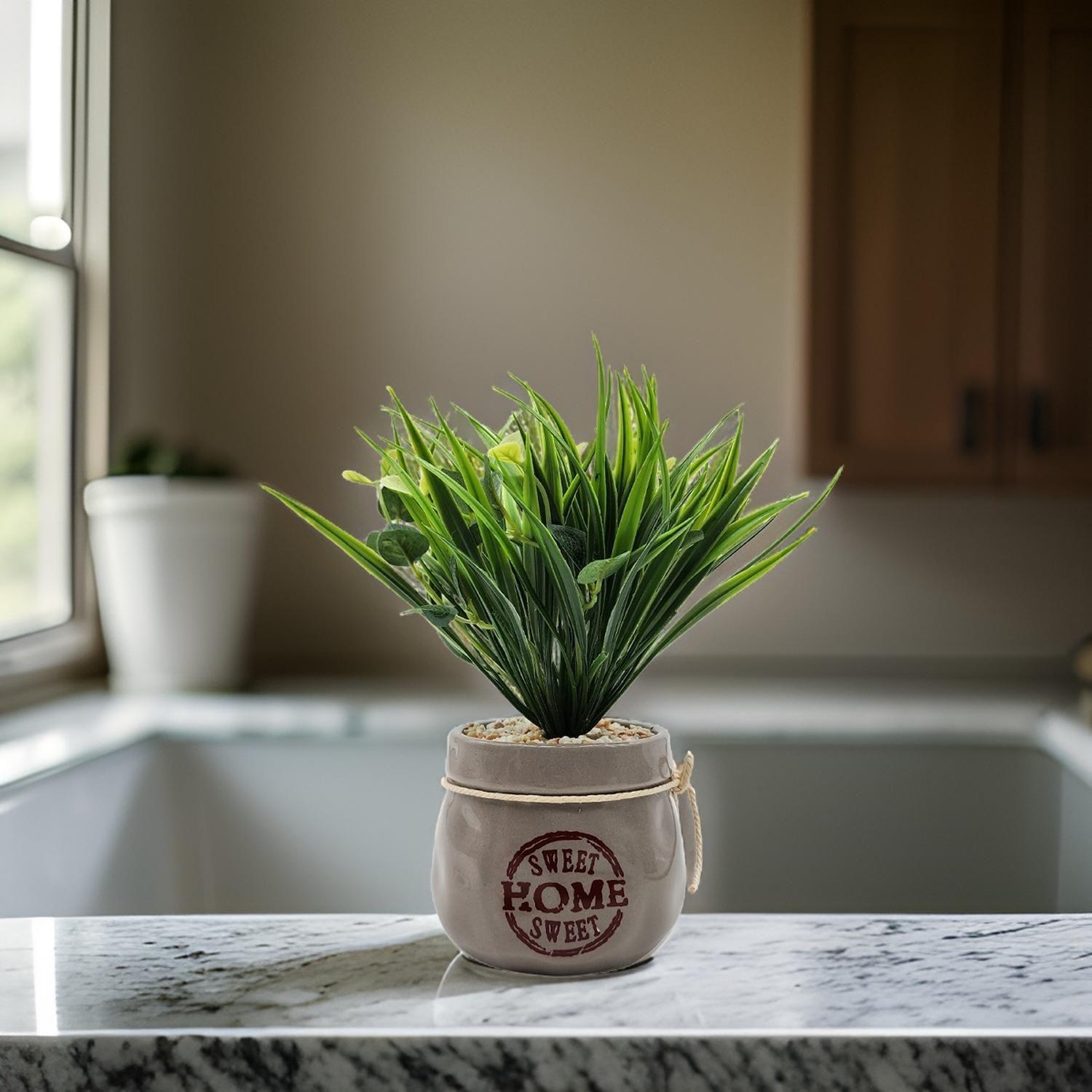 Planta Artificial Plantita Macetero Ceramica Sweet Home-6