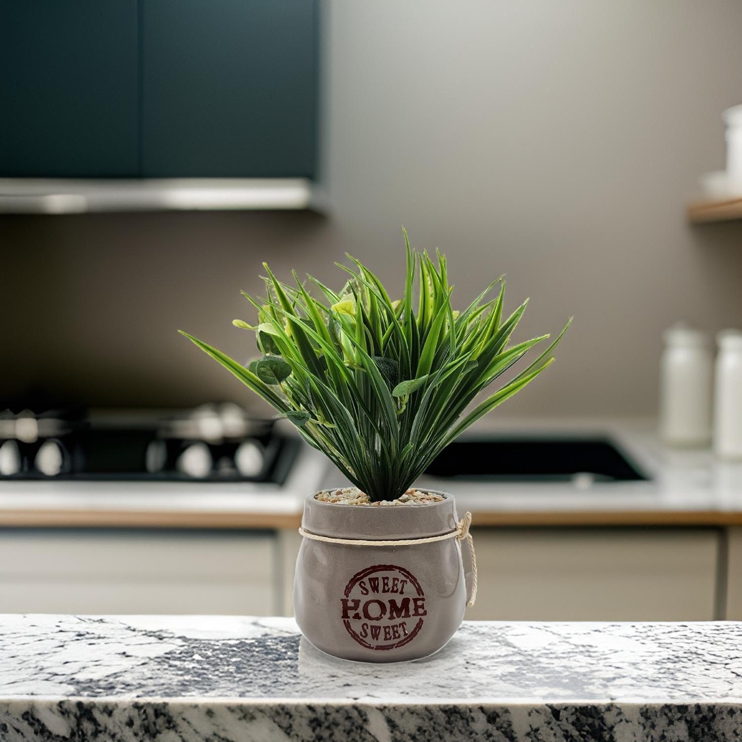 Planta Artificial Plantita Macetero Ceramica Sweet Home-7