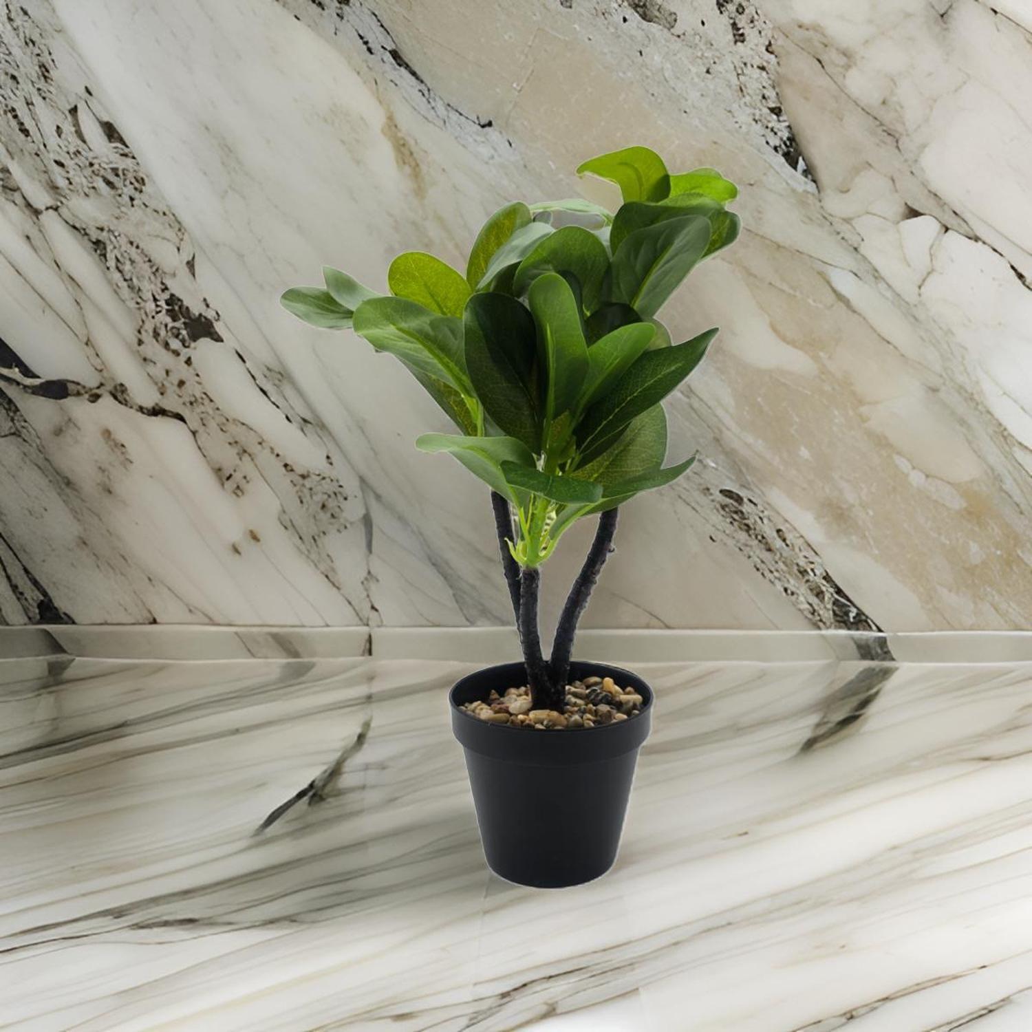 Planta Artificial Hoja Verde Deco Macetero Plastico Negro-4