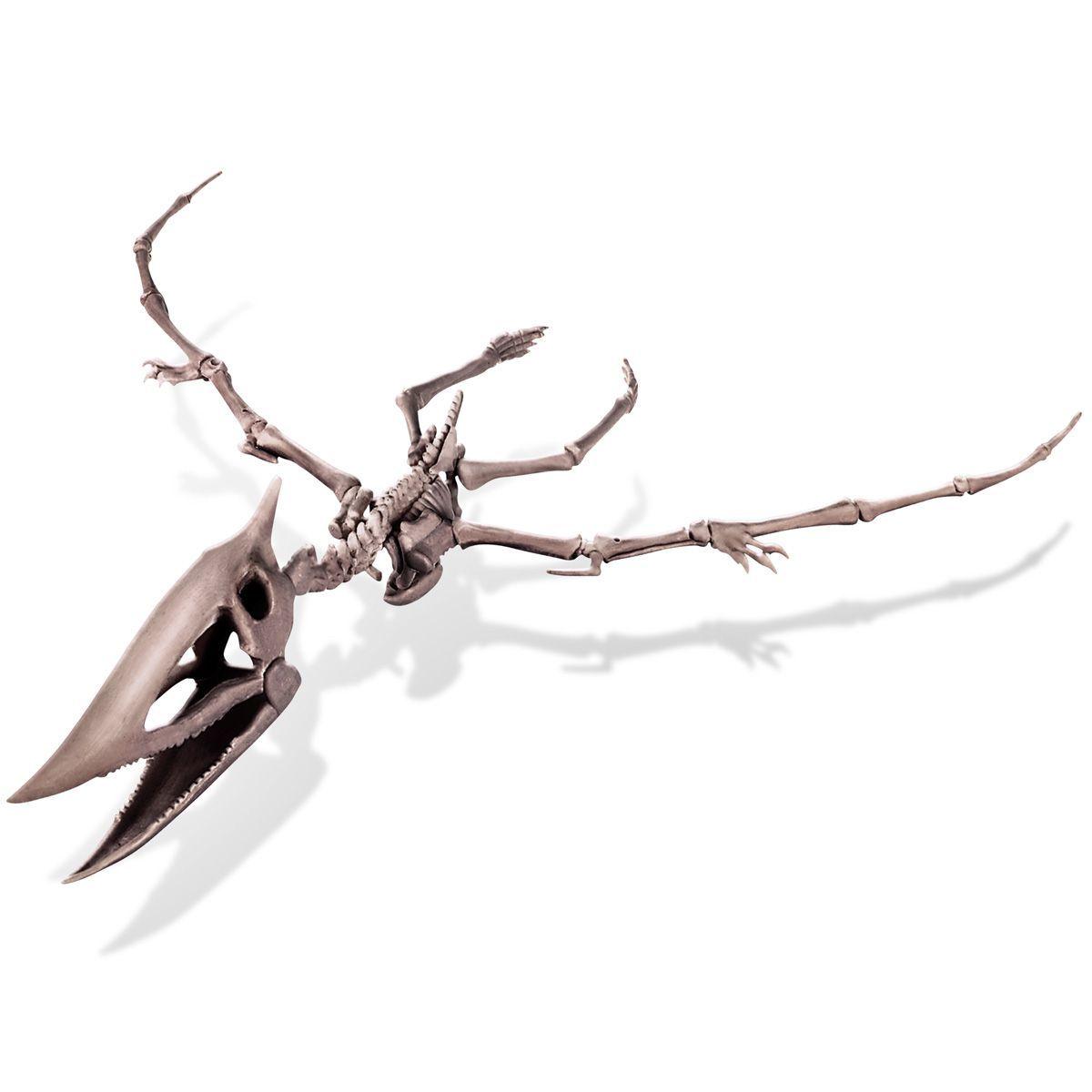 Dinosaurio Pteranodon Excava-2