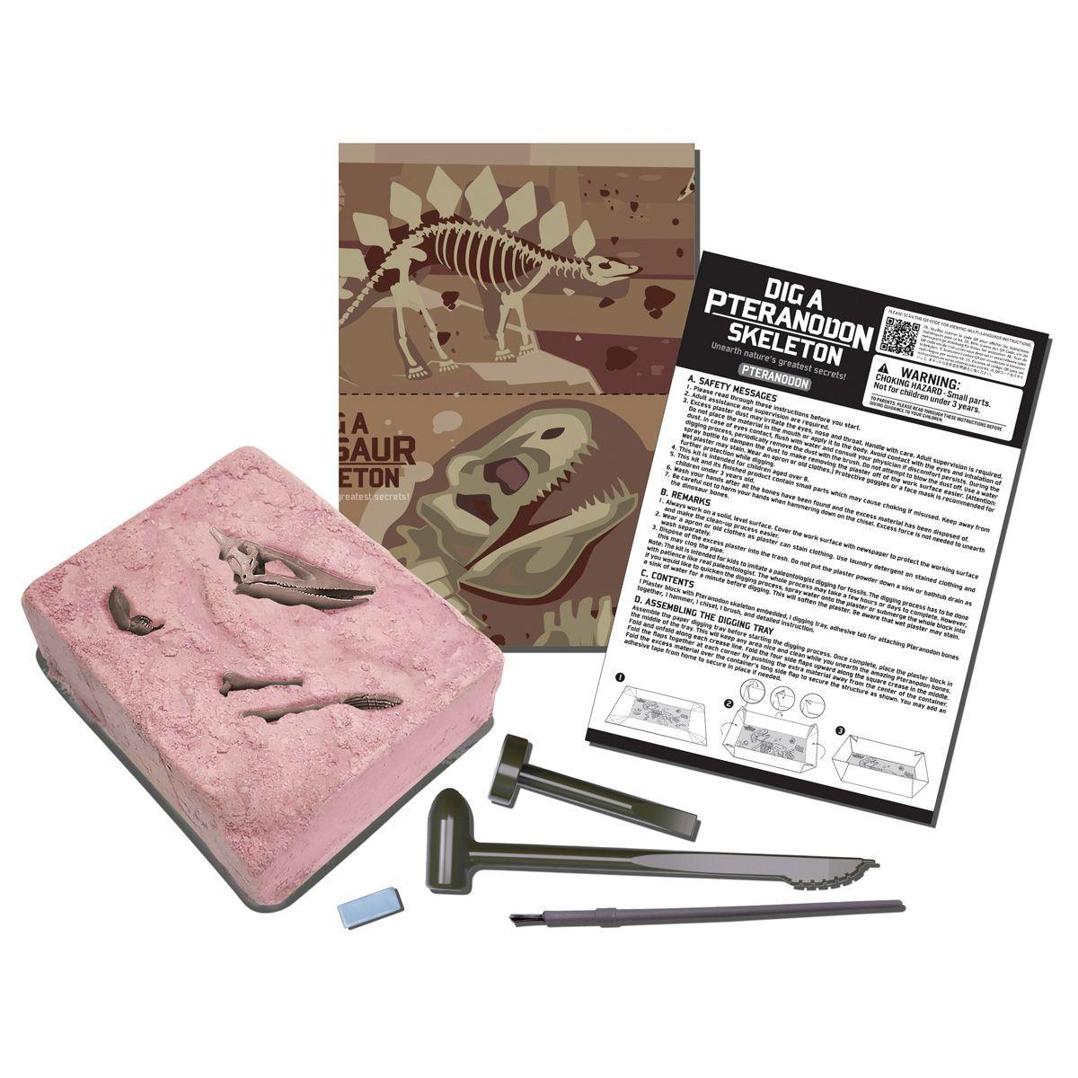 Dinosaurio Pteranodon Excava-3