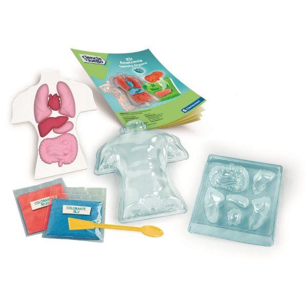 Kit Anatomía: Esqueleto y Organos-2