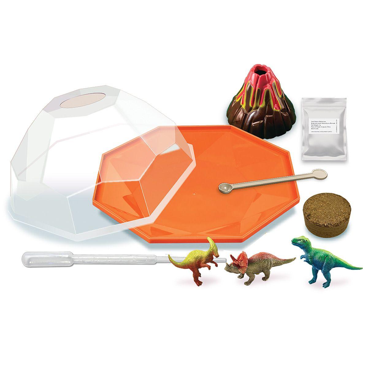 Crea Terrario Dinosaurios-4