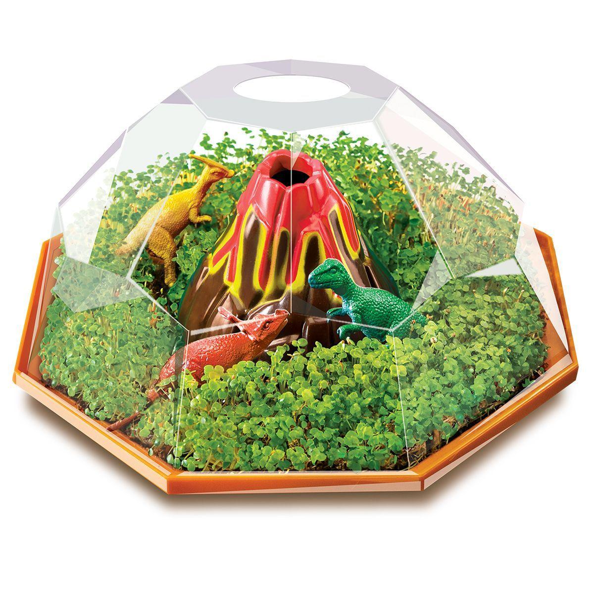Crea Terrario Dinosaurios  (no contiene semillas ni compost)-3