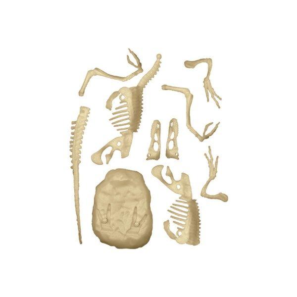 Dinosaurio Velociraptor Fosforescente-3