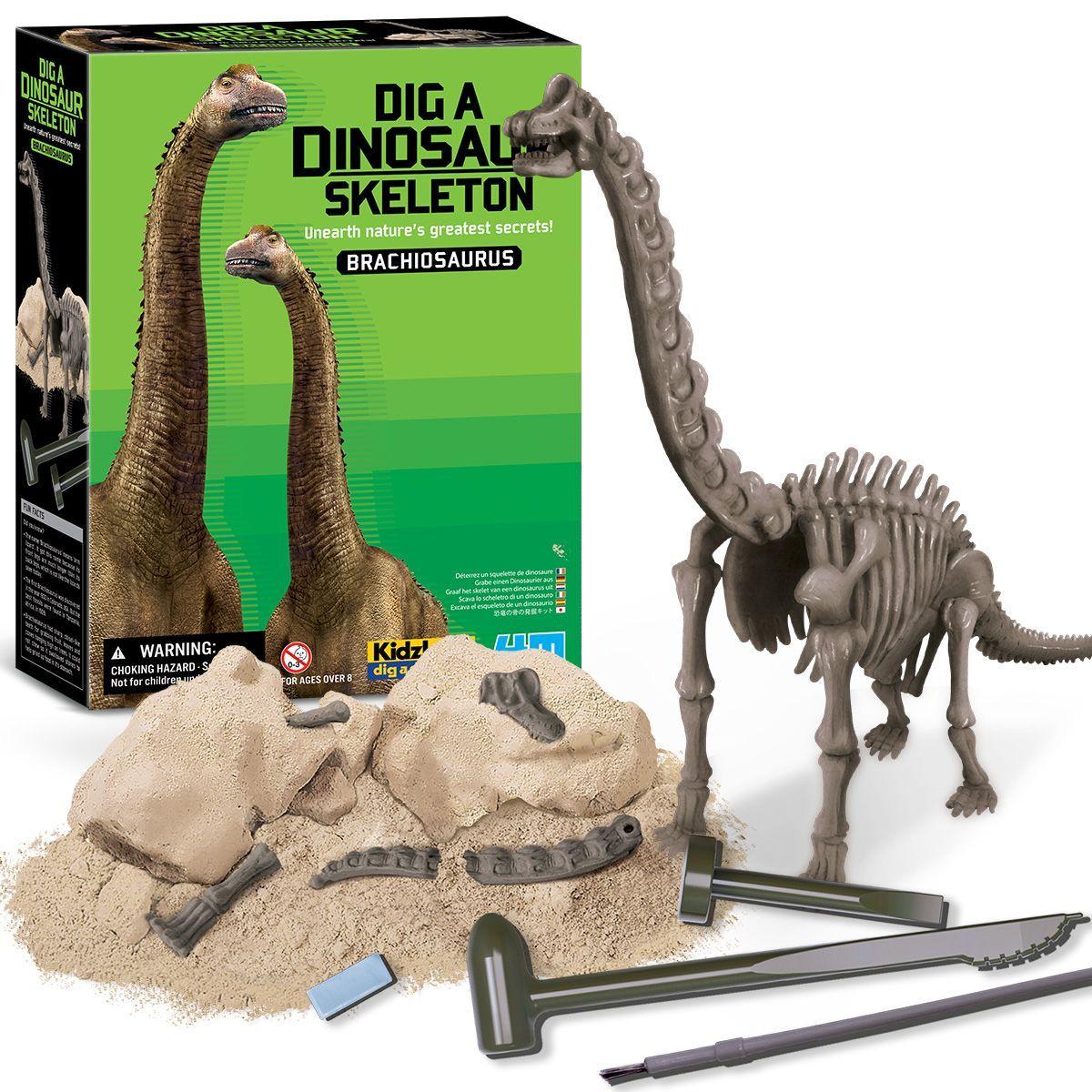 Dinosaurio Brachiosaurus Excava-2