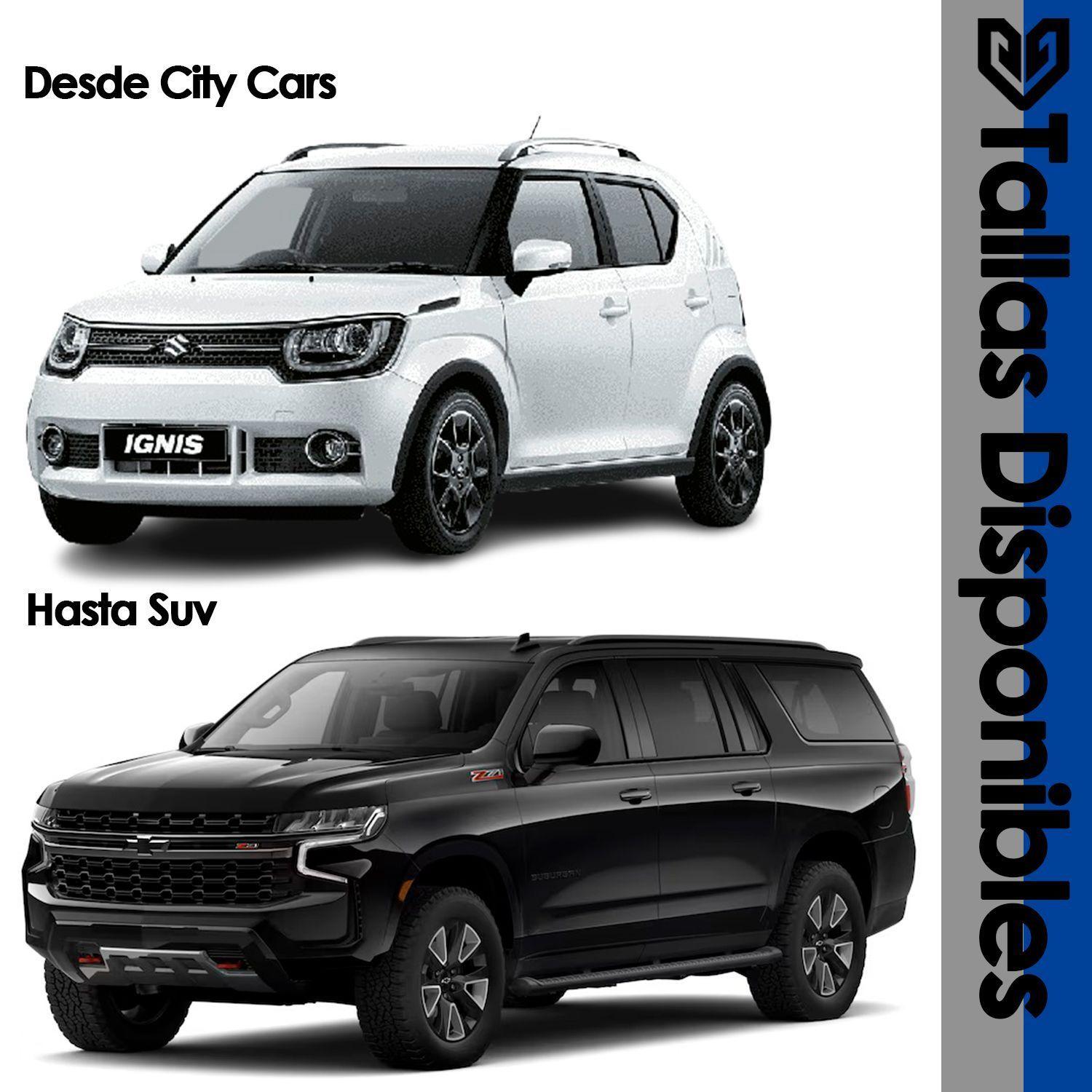 Carpa Cubre Auto Premium Resistencia Total Cierre de Cremallera Impermeable Interior Felpa-1