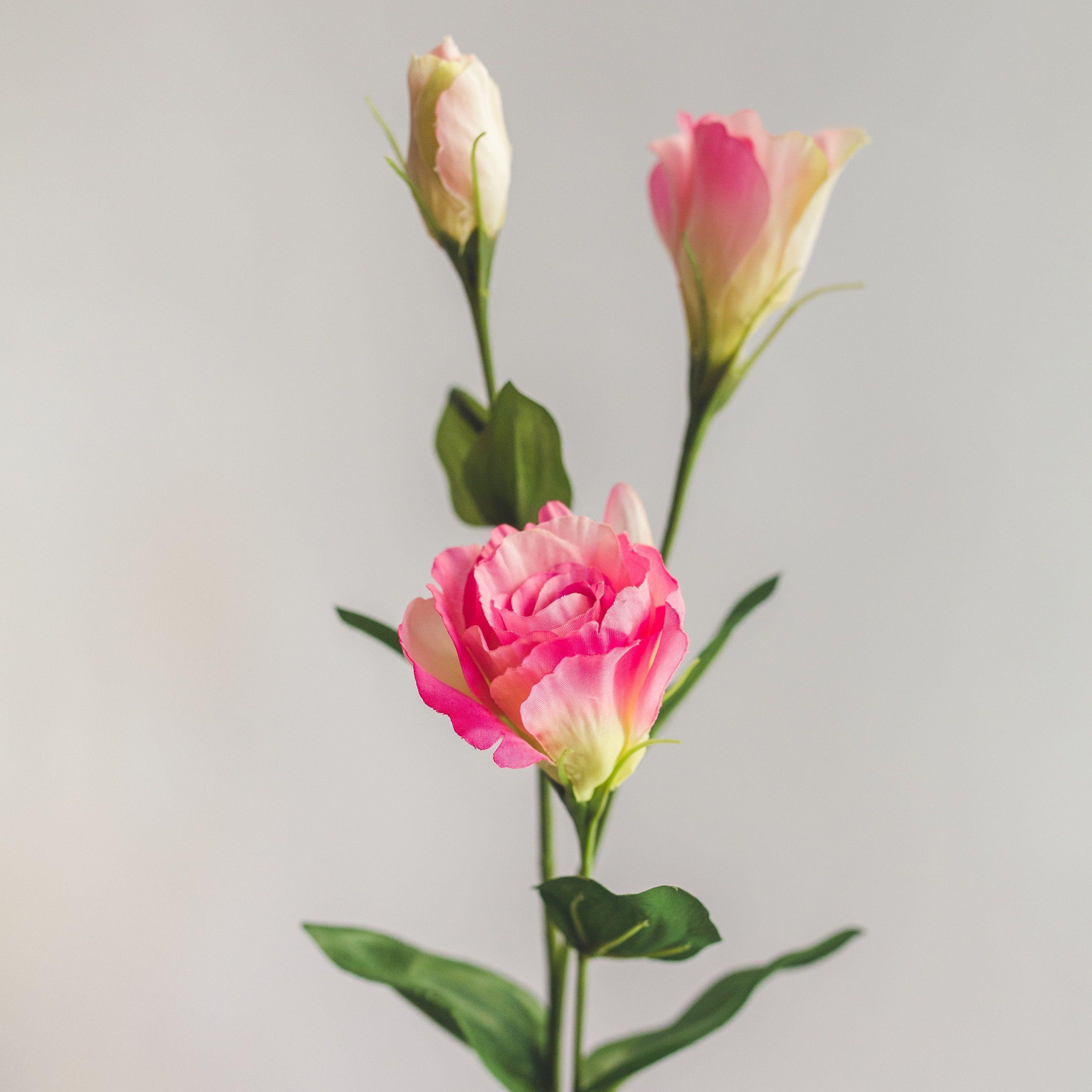 Lisianthus Rosado Flor Artificial by Le Bouquet 63 cm-2