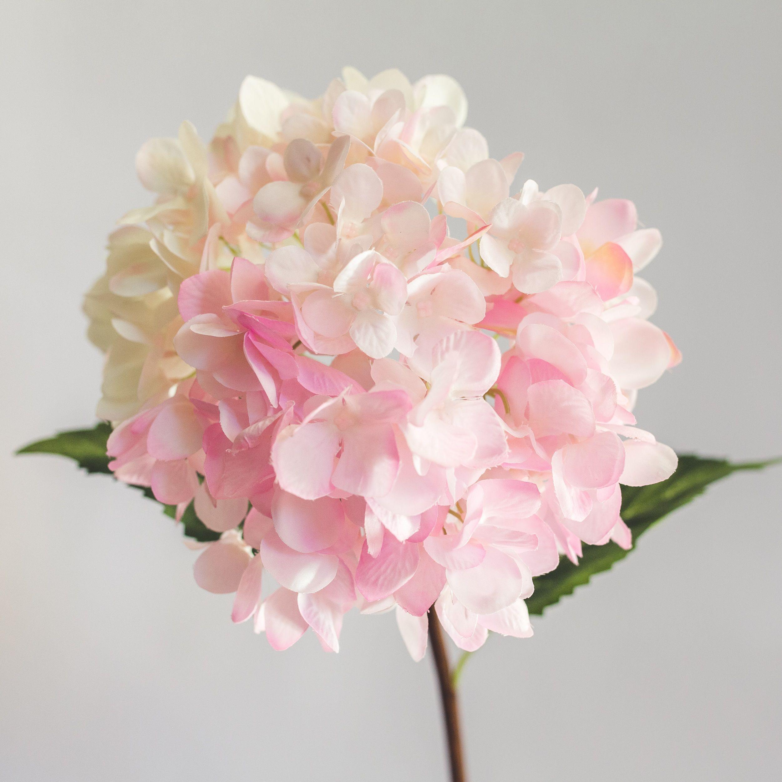 Hortensia Blanco con Rosado Flor Artificial by Le Bouquet 66 cm-2