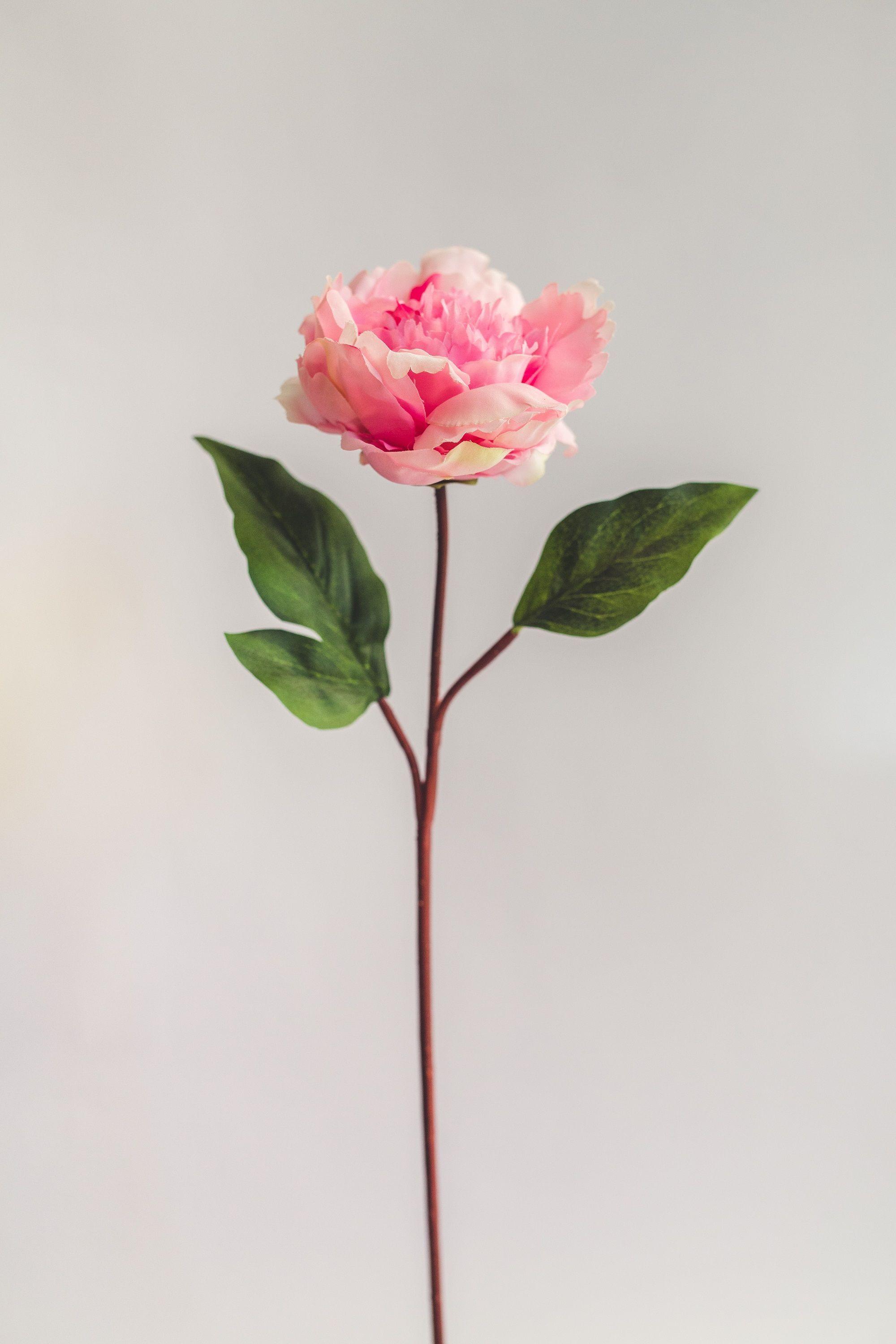 Peonia Rosada Flor Artificial by Le Bouquet 66 cm-0