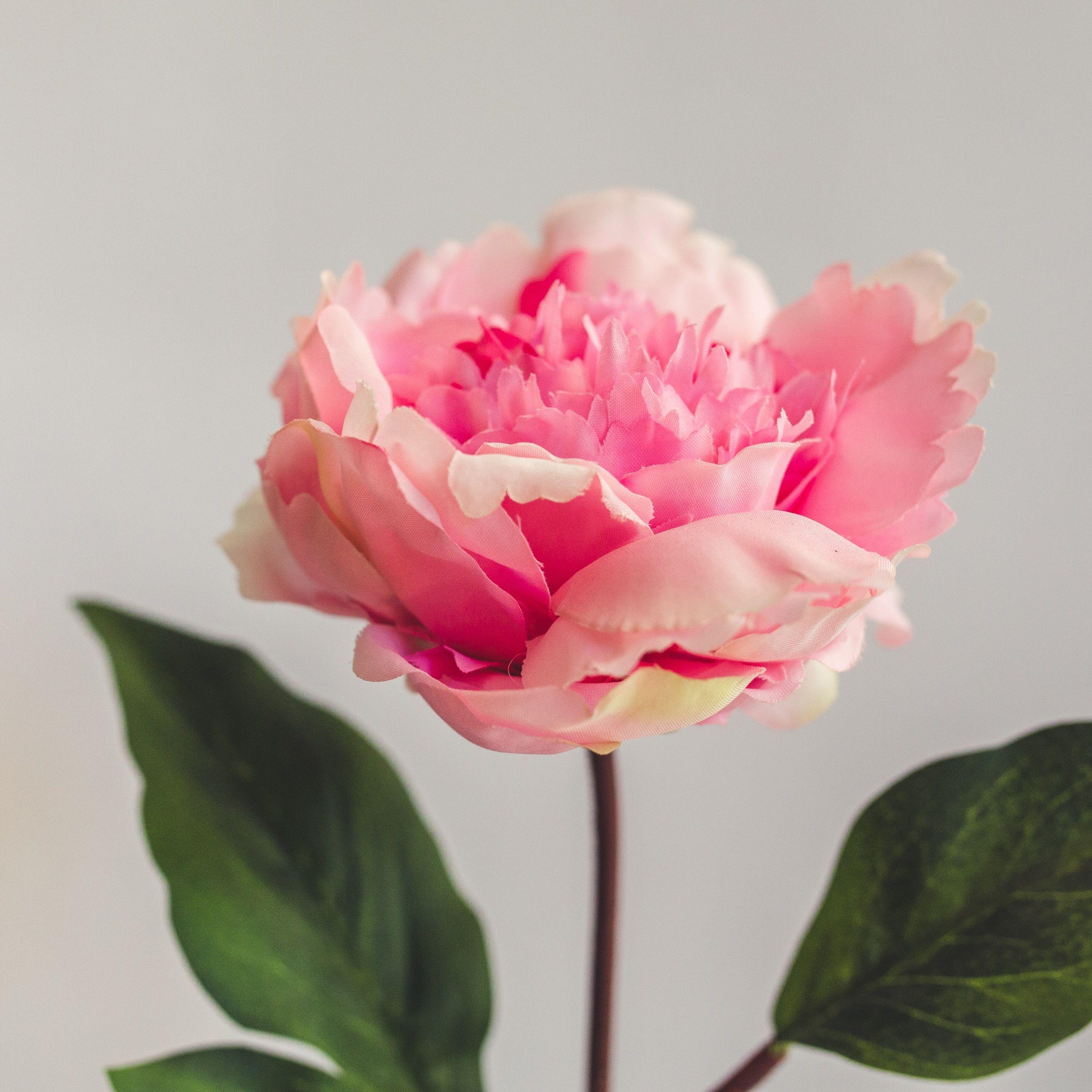 Peonia Rosada Flor Artificial by Le Bouquet 66 cm-2