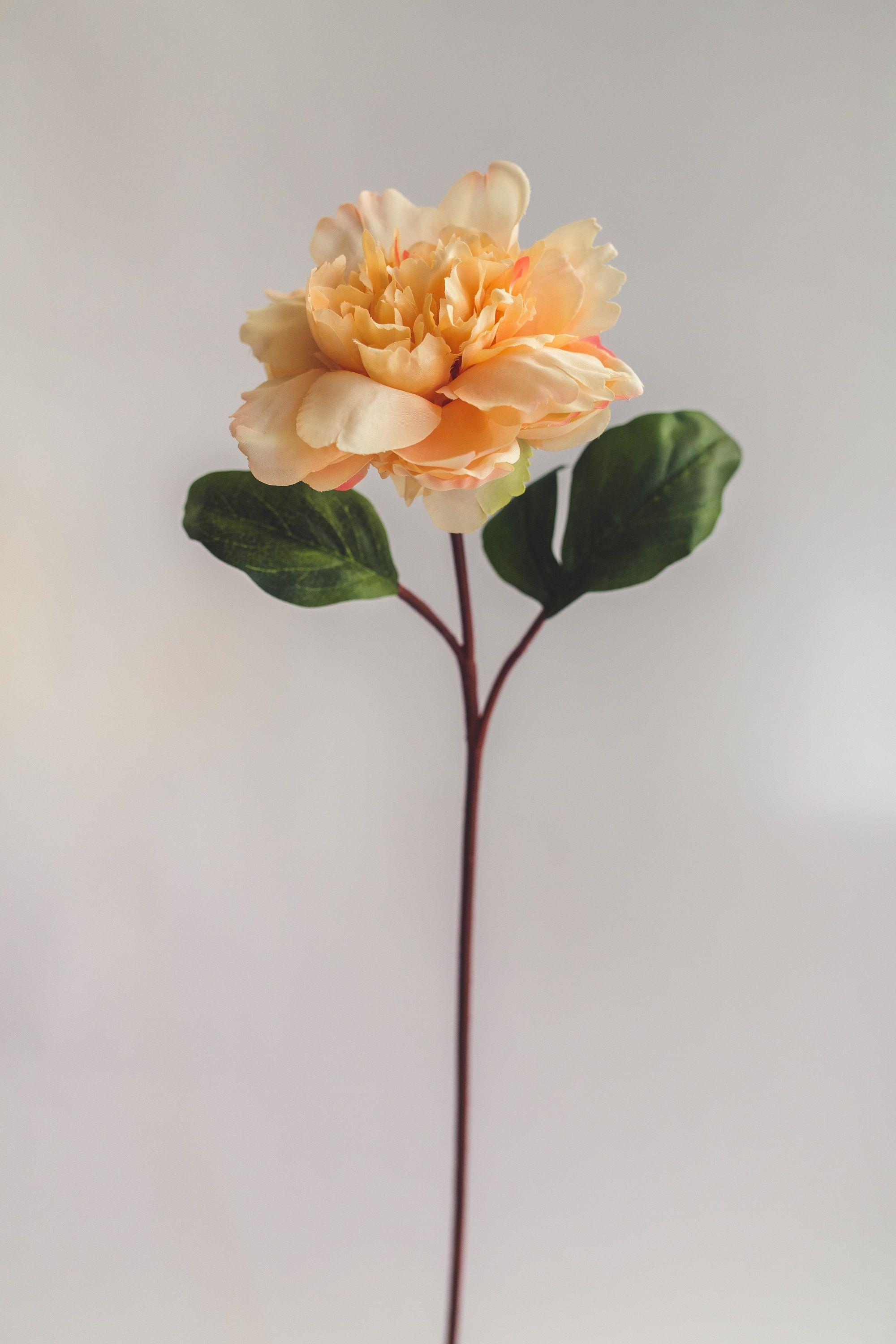 Peonia Damasco Flor Artificial by Le Bouquet 66 cm-0