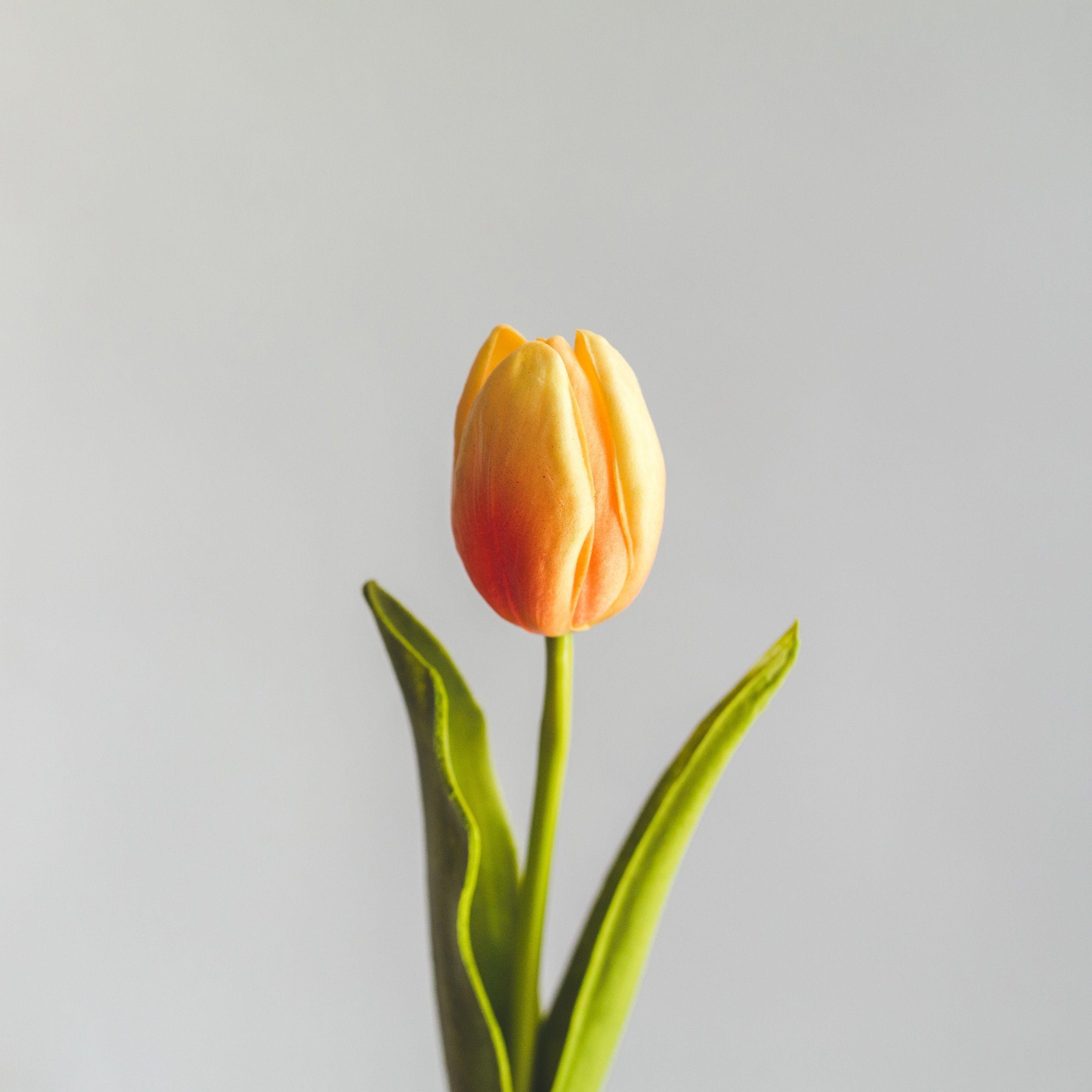 Tulipan Naranjo Flor Artificial by Le Bouquet 48 cm-2